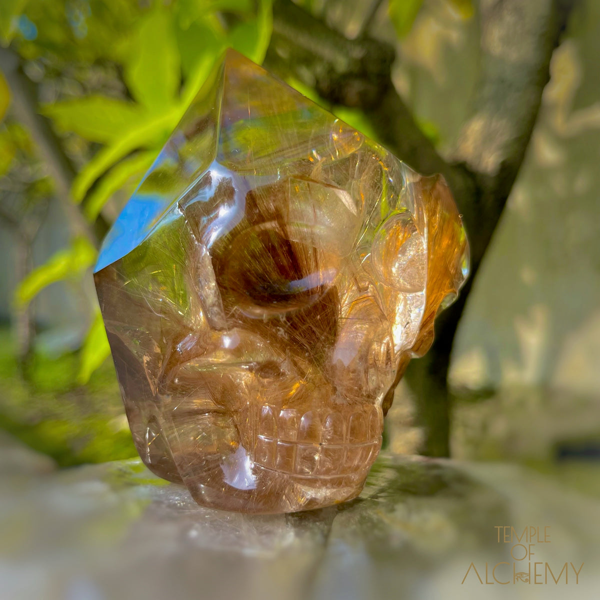 The Power of 2 Beings in 1 𓆃 Smoky Citrine x Golden-Copper Rutiles