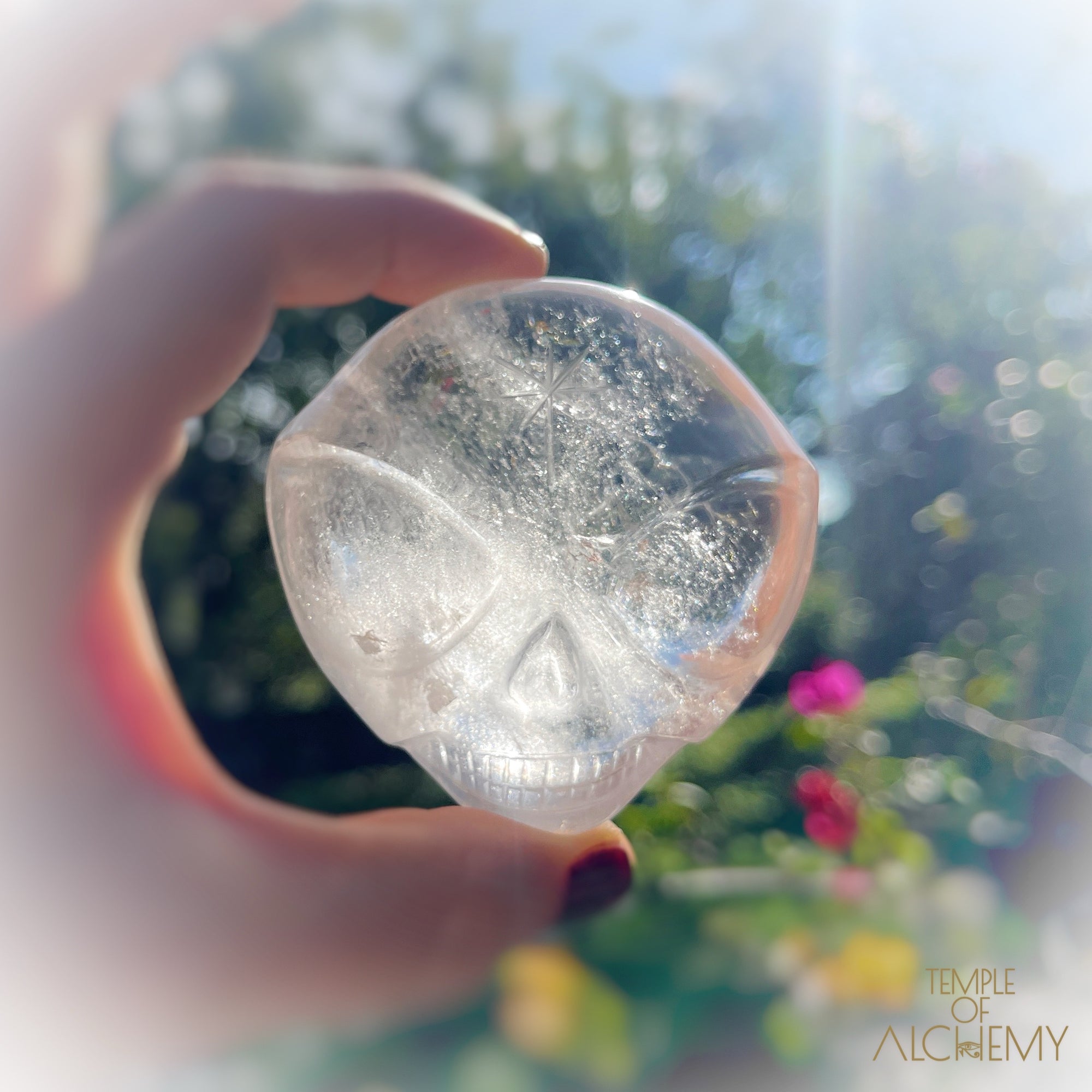 Lemurian