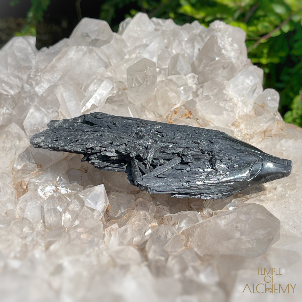 Black Kyanite