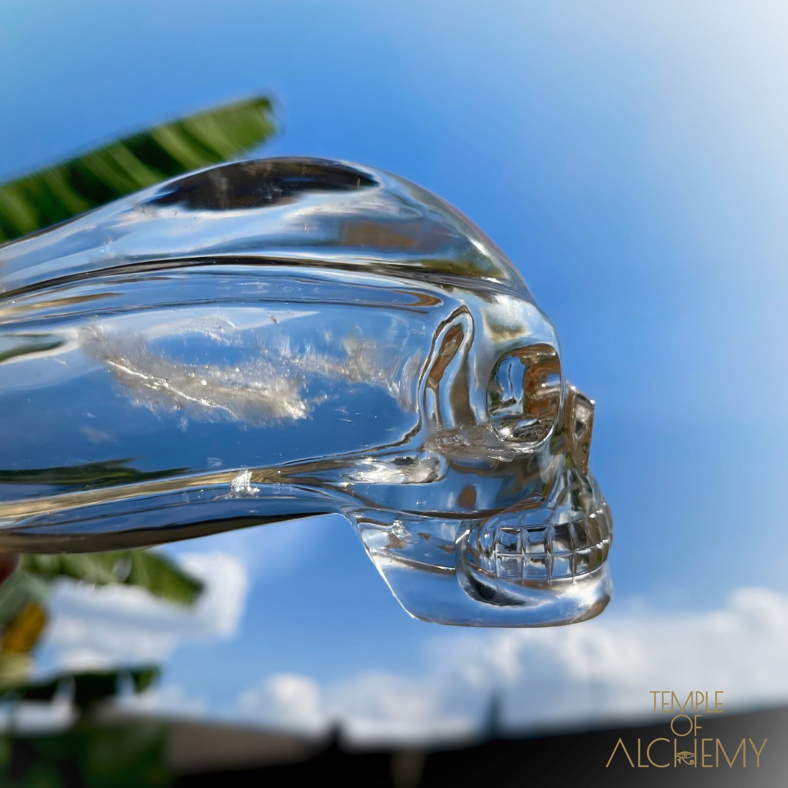 Ascension & Manifestation Quartz 𓄂♡𓆃 Citrine