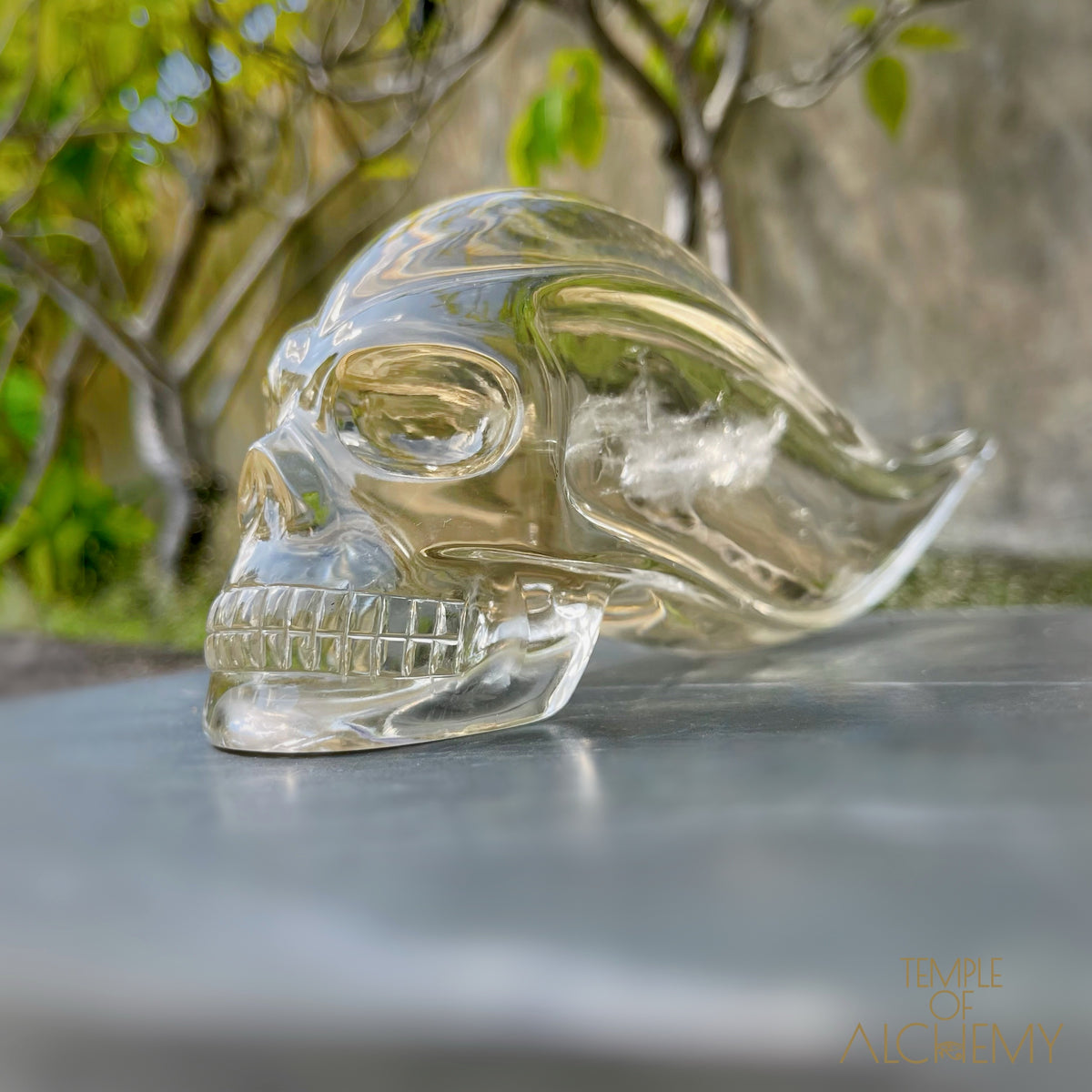 Ascension & Manifestation Quartz 𓄂♡𓆃 Citrine