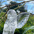 Golden Rutile in Clear Quartz