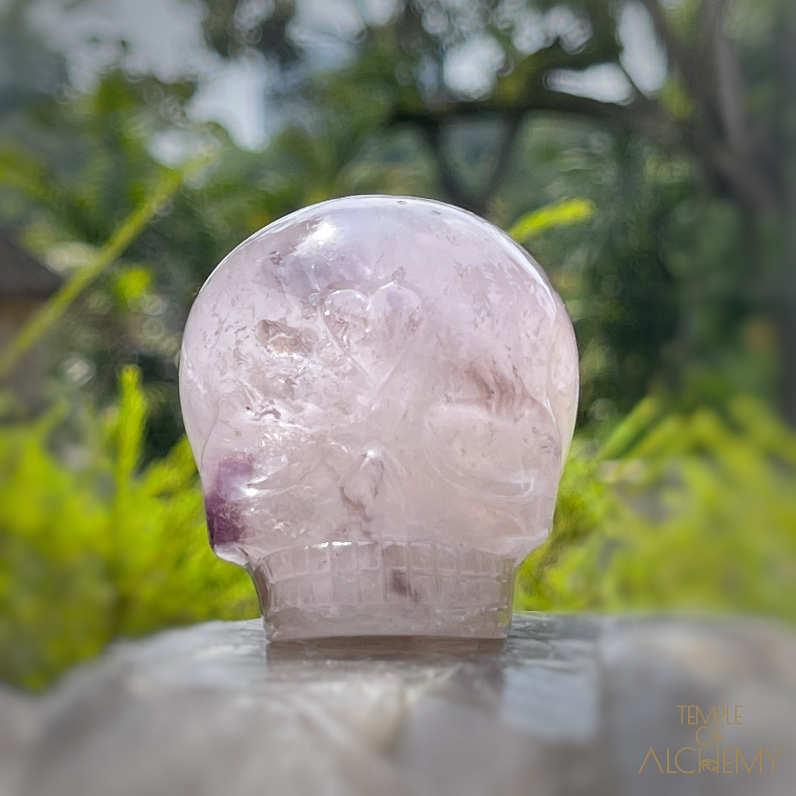 Trapiche Amethyst + Hollandite