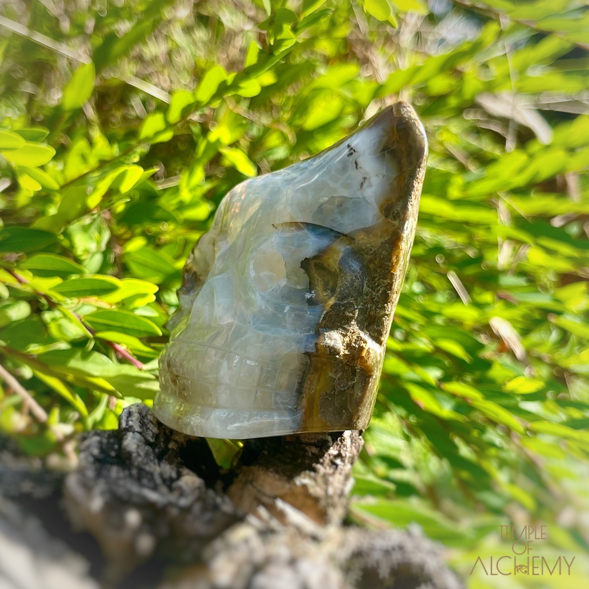 Ethiopian Opal 𓆃  XL Aurora Borealis Wand