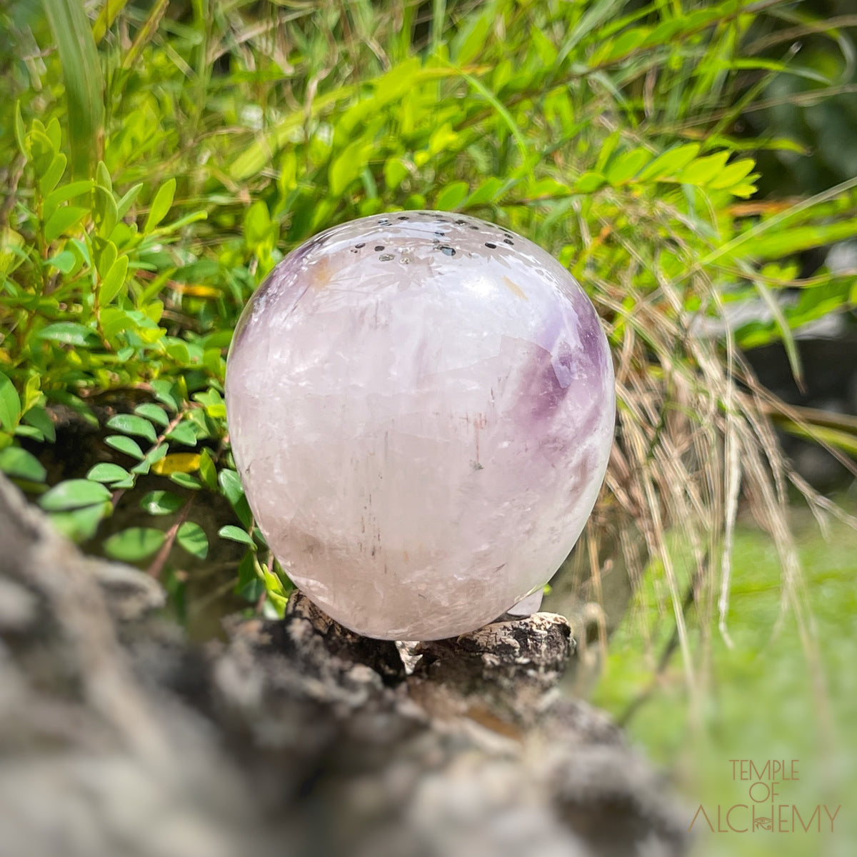 Trapiche Amethyst + Hollandite