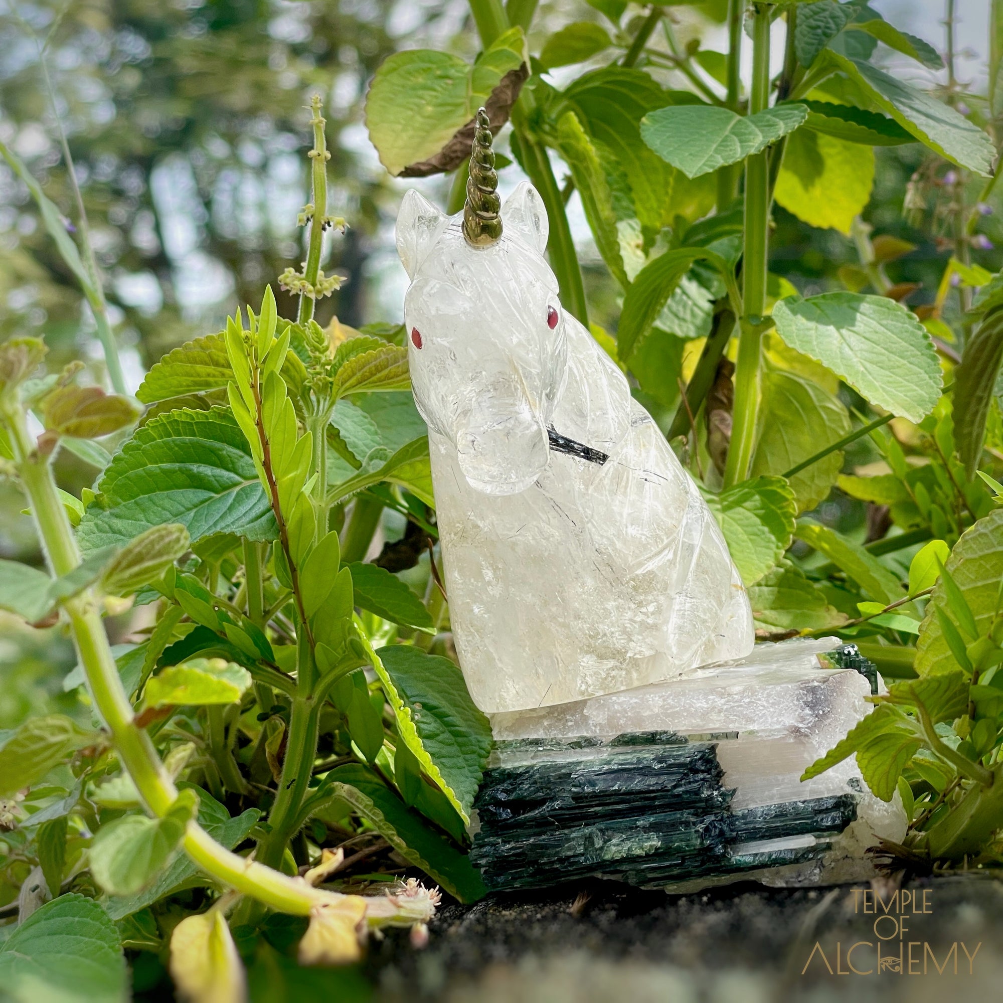 Black Tourmaline x Milky Quartz