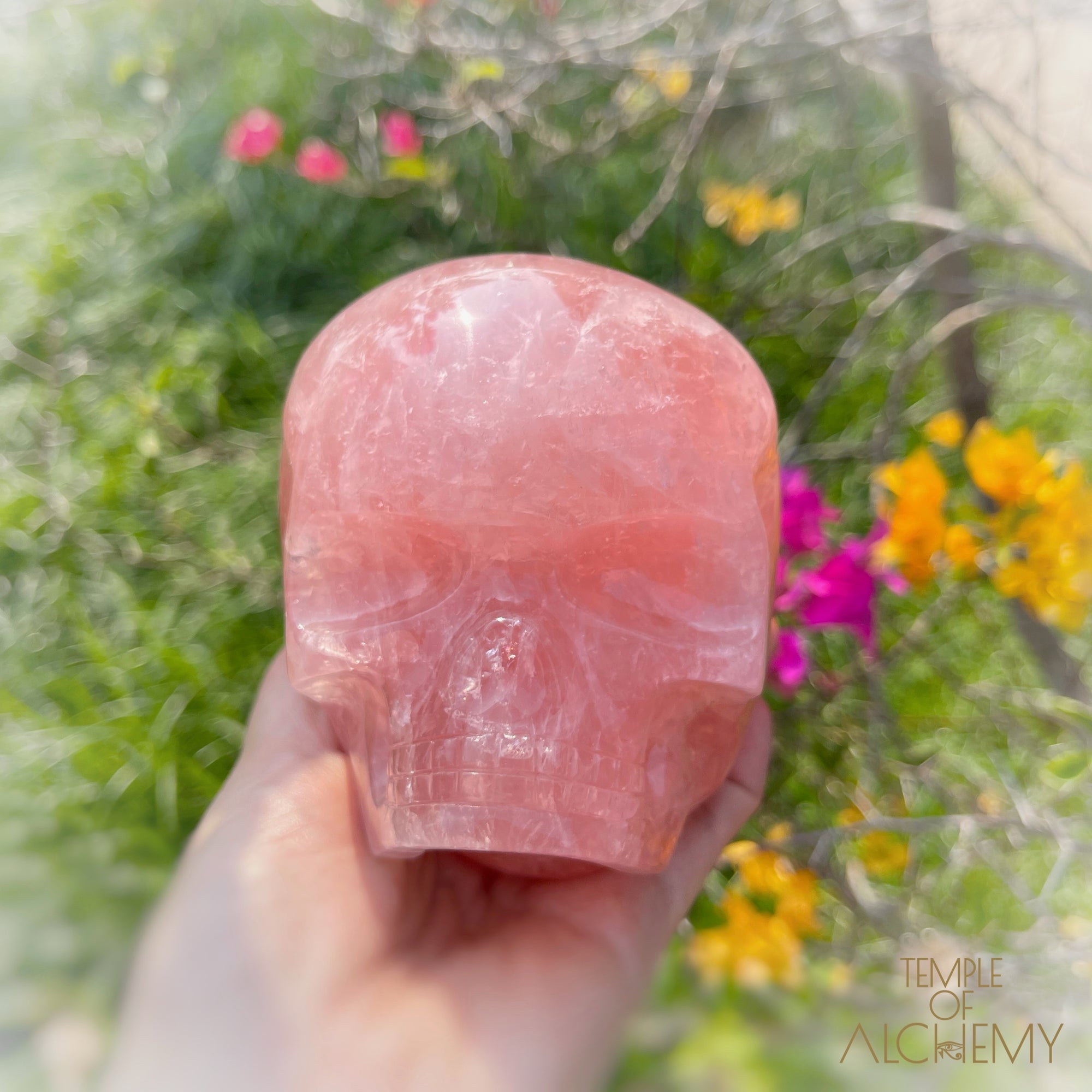 Cat's Eye Rose Quartz