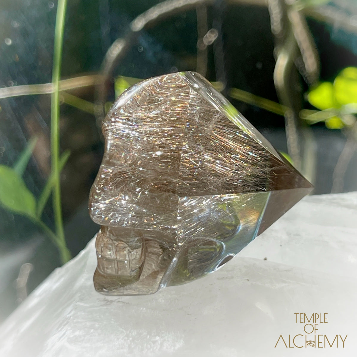 Smoky Citrine x Golden-Copper Rutiles