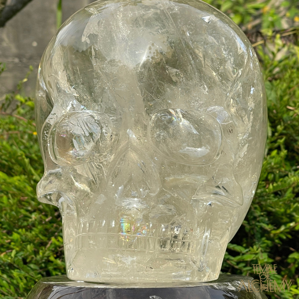 The Magic of Isis & The Resurrection of Osiris 𓆃 Warrior # 55