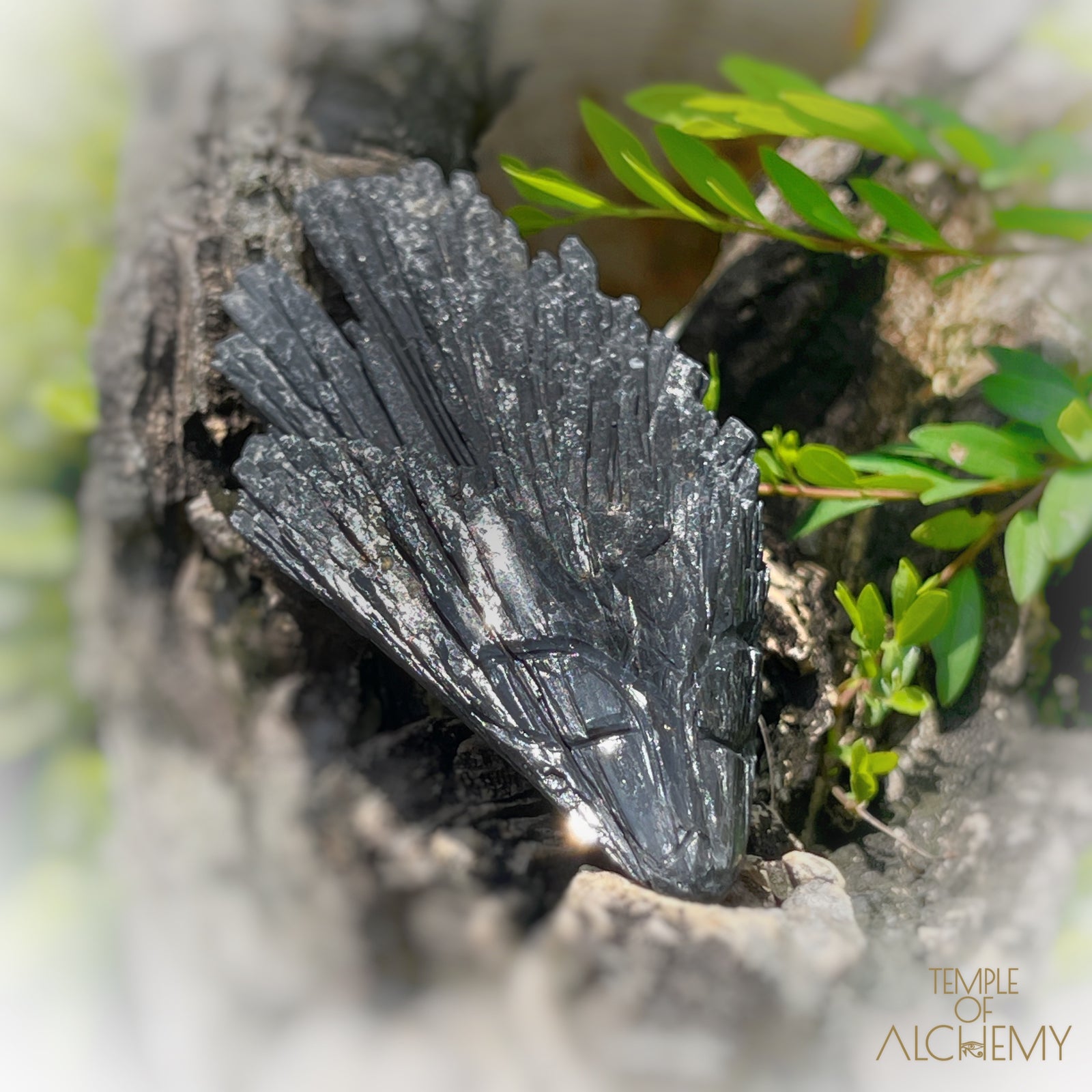 Black Kyanite