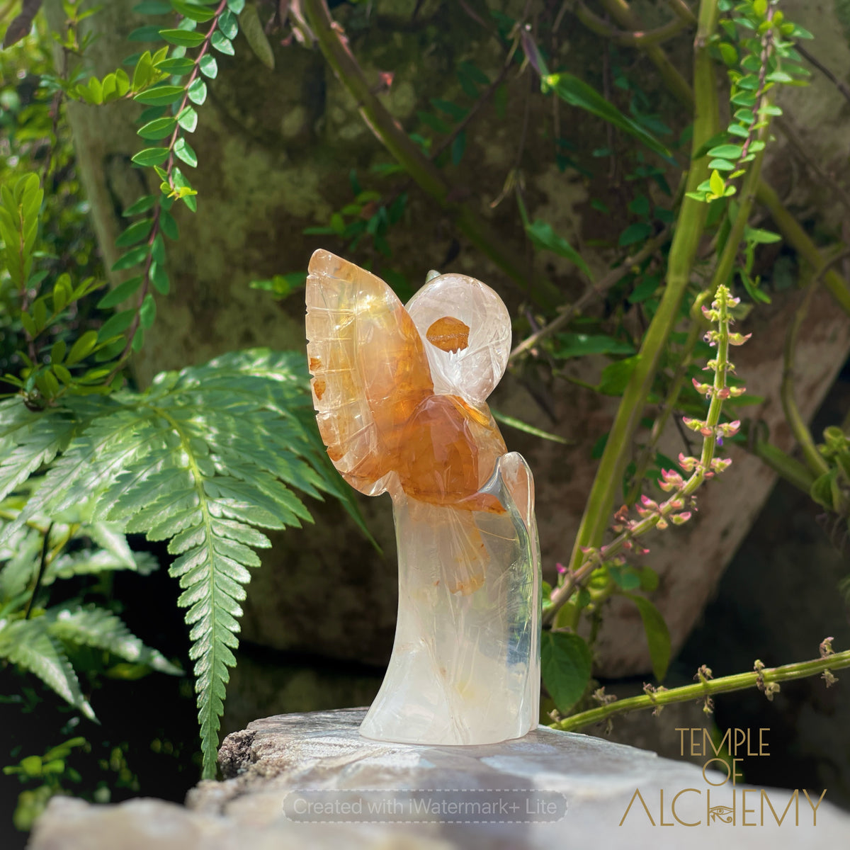 Golden Healer x Girasol Quartz