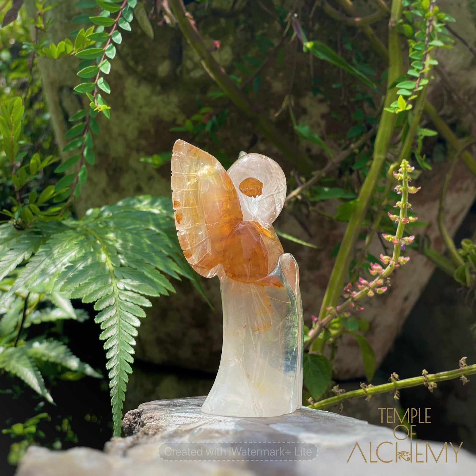 Golden Healer x Girasol Quartz