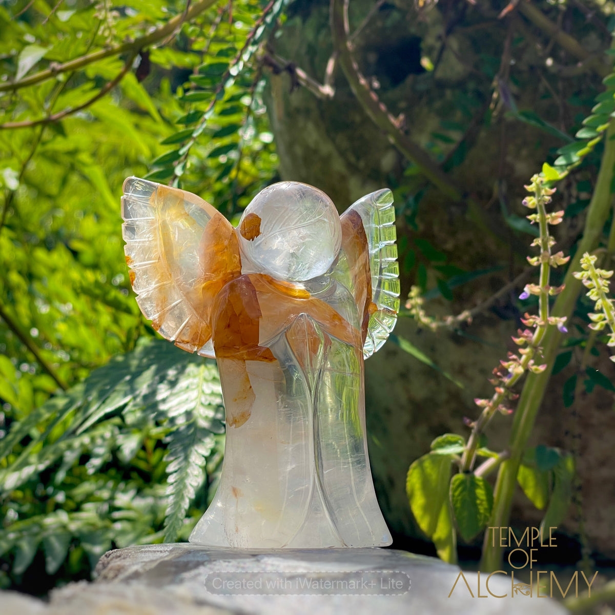 Golden Healer x Girasol Quartz