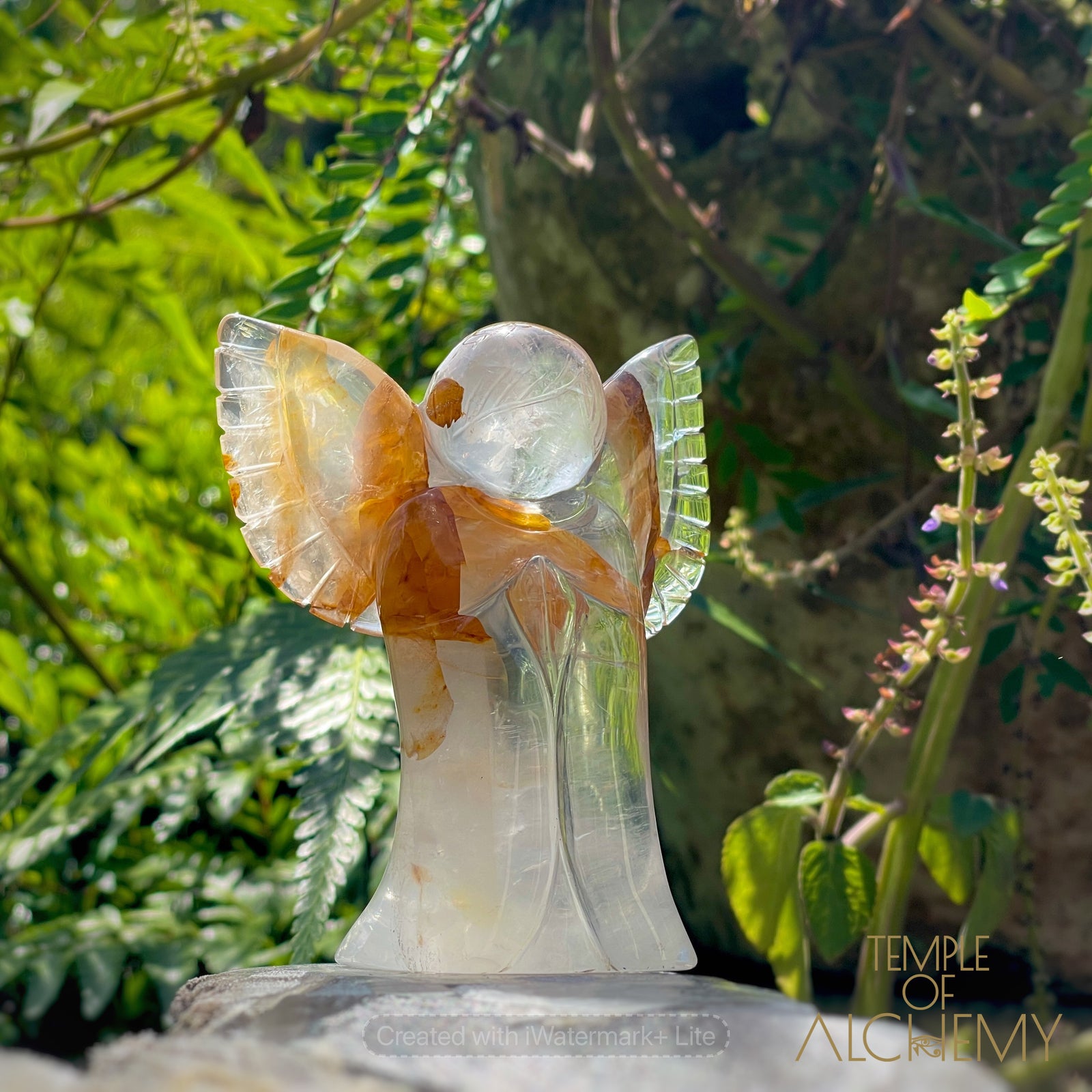 Golden Healer x Girasol Quartz