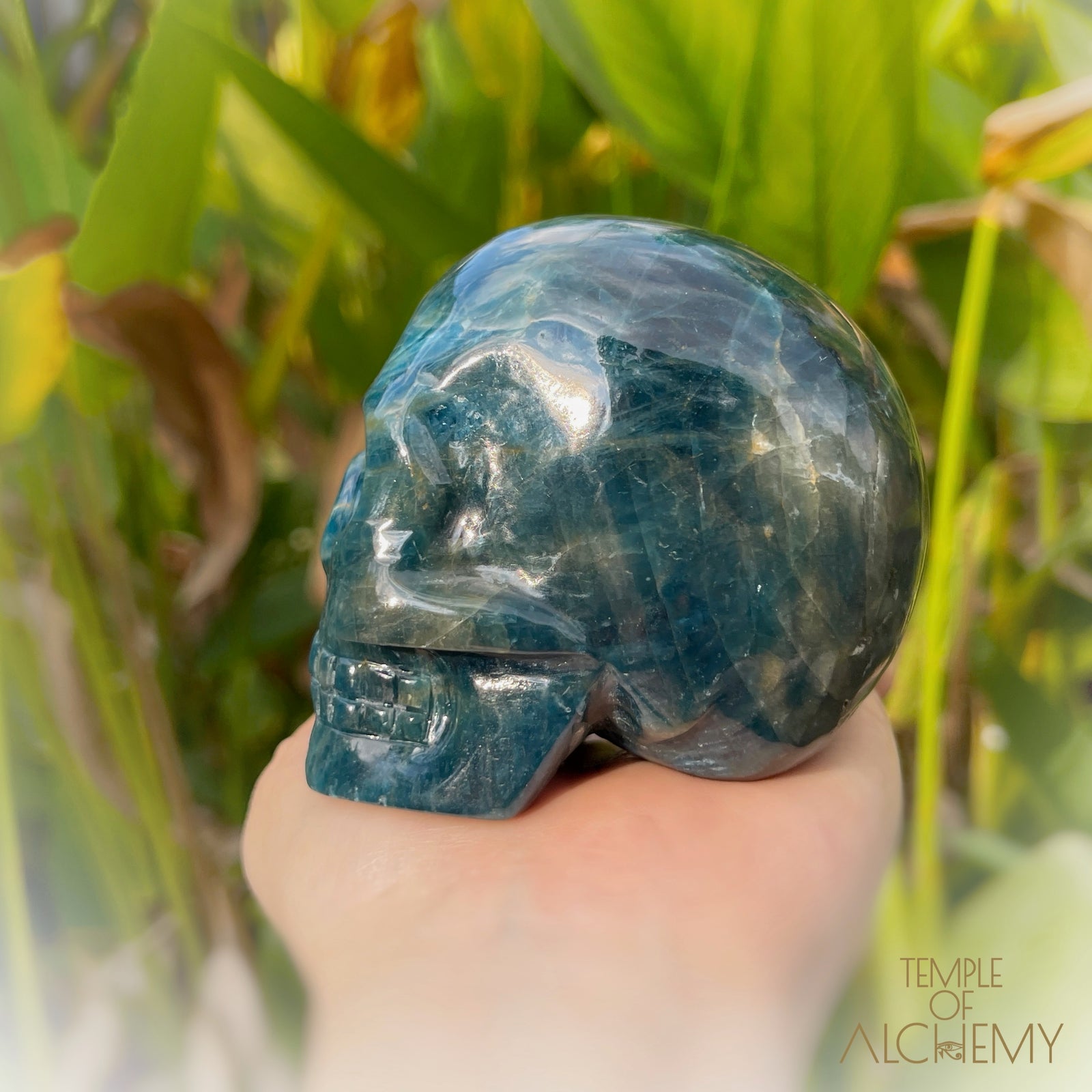 Cat's Eye Apatite Blue Apatite