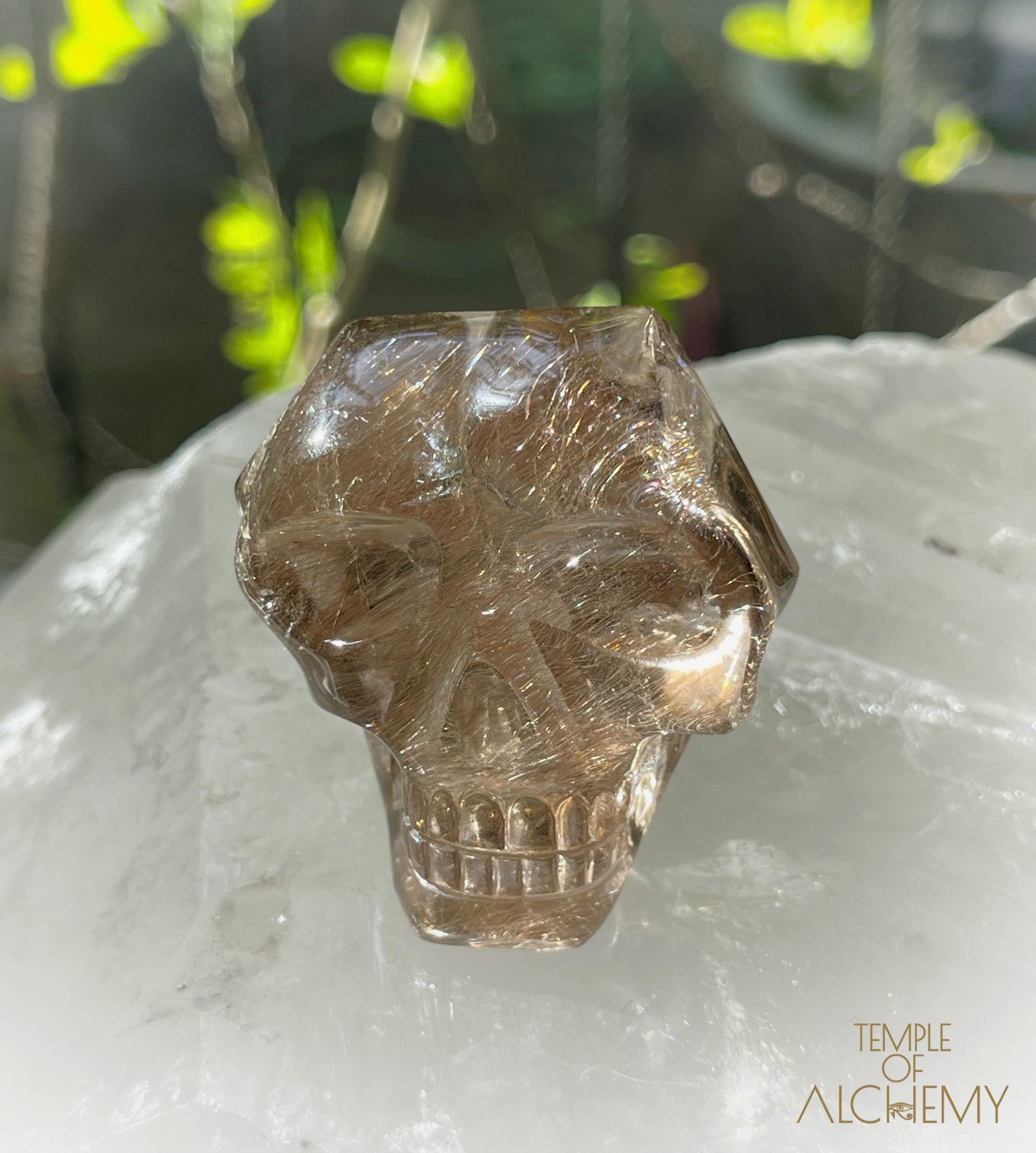 Smoky Citrine x Golden-Copper Rutiles