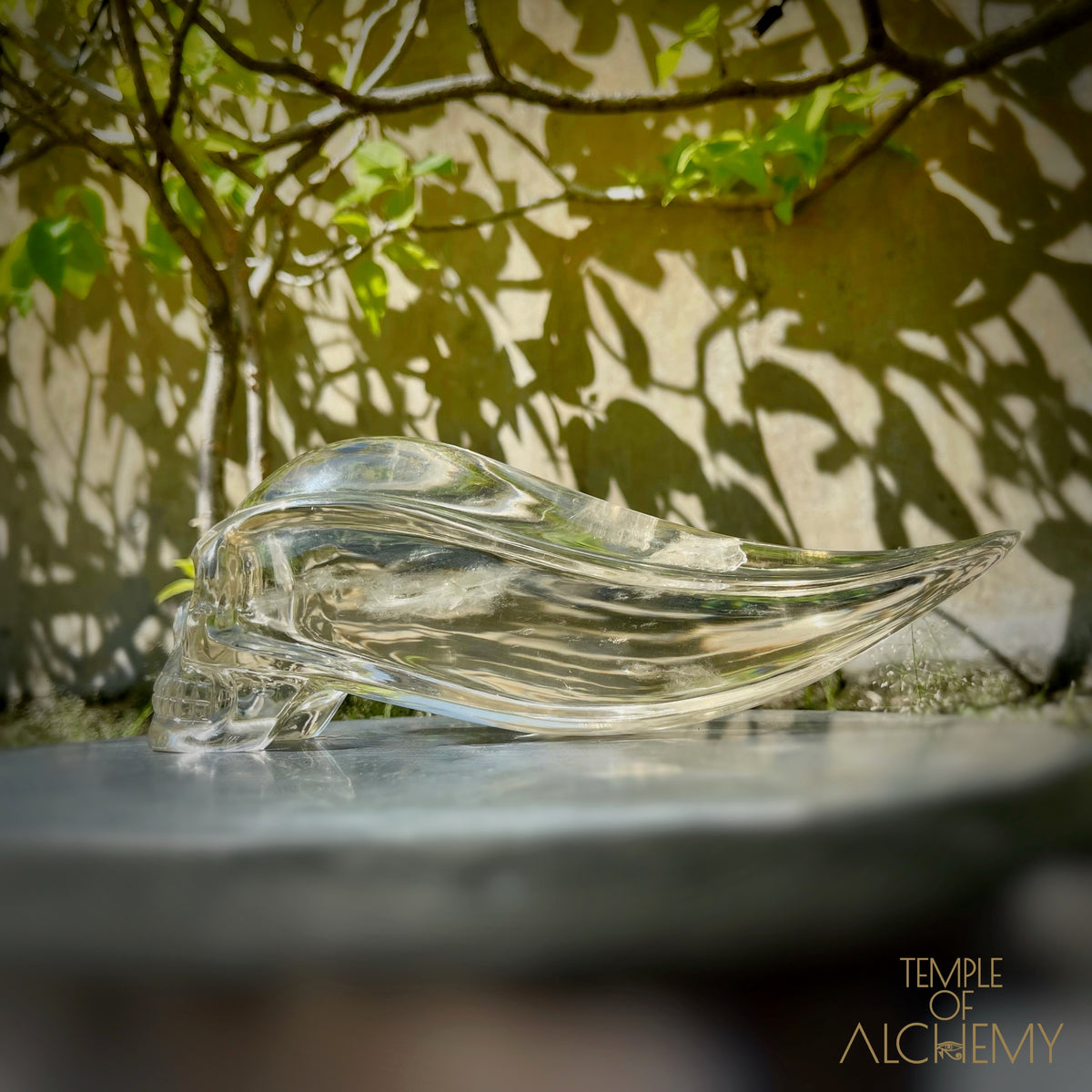 Ascension & Manifestation Quartz 𓄂♡𓆃 Citrine