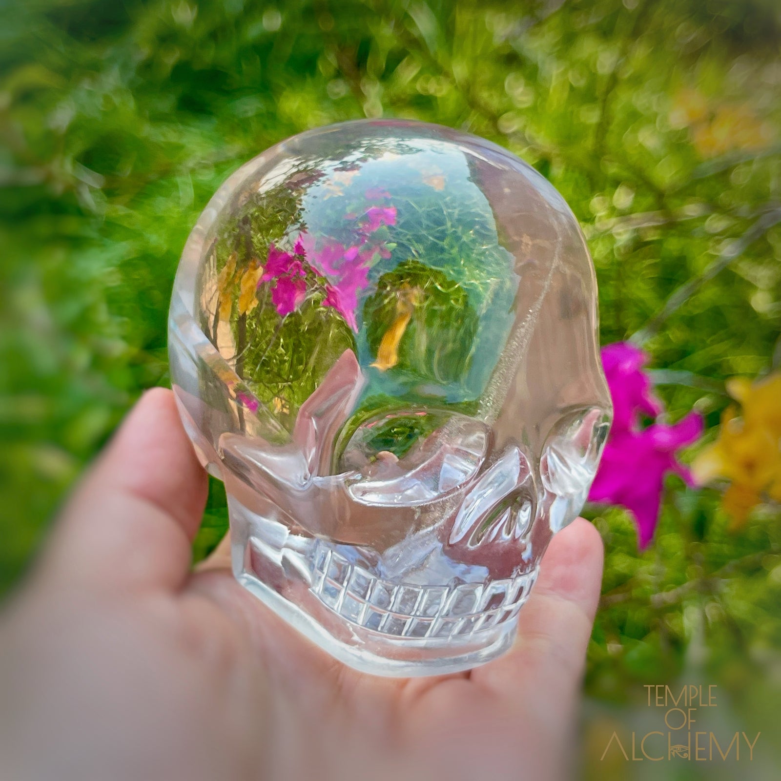 Ascension 𓄂♡𓆃 Citrine