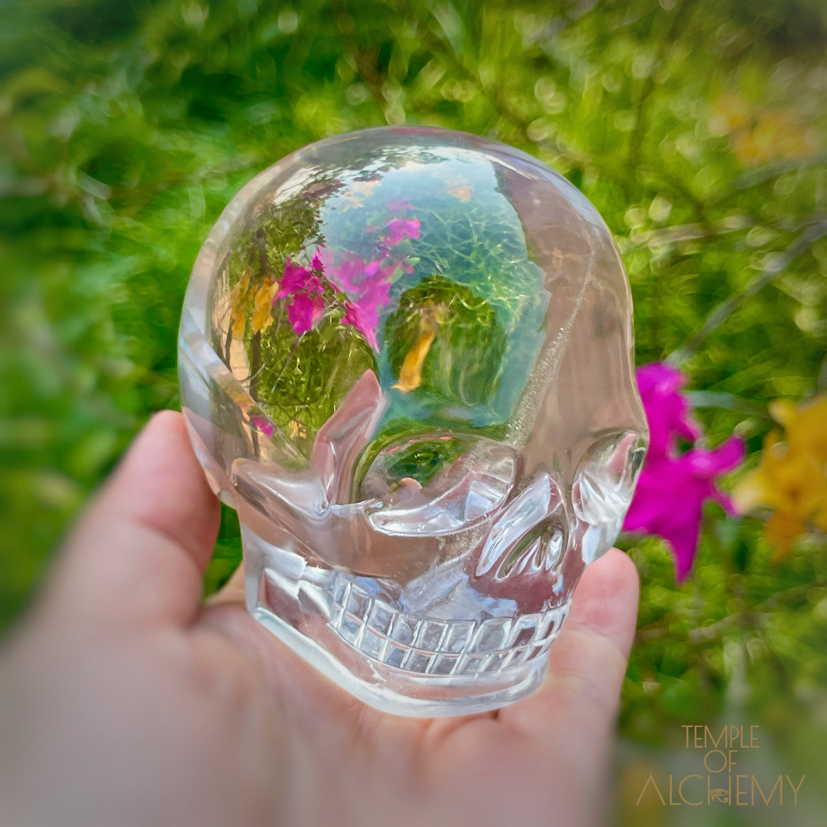 Ascension 𓄂♡𓆃 Citrine