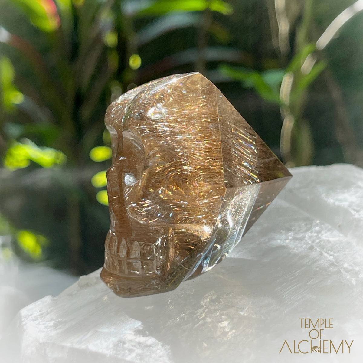 Smoky Citrine x Golden-Copper Rutiles