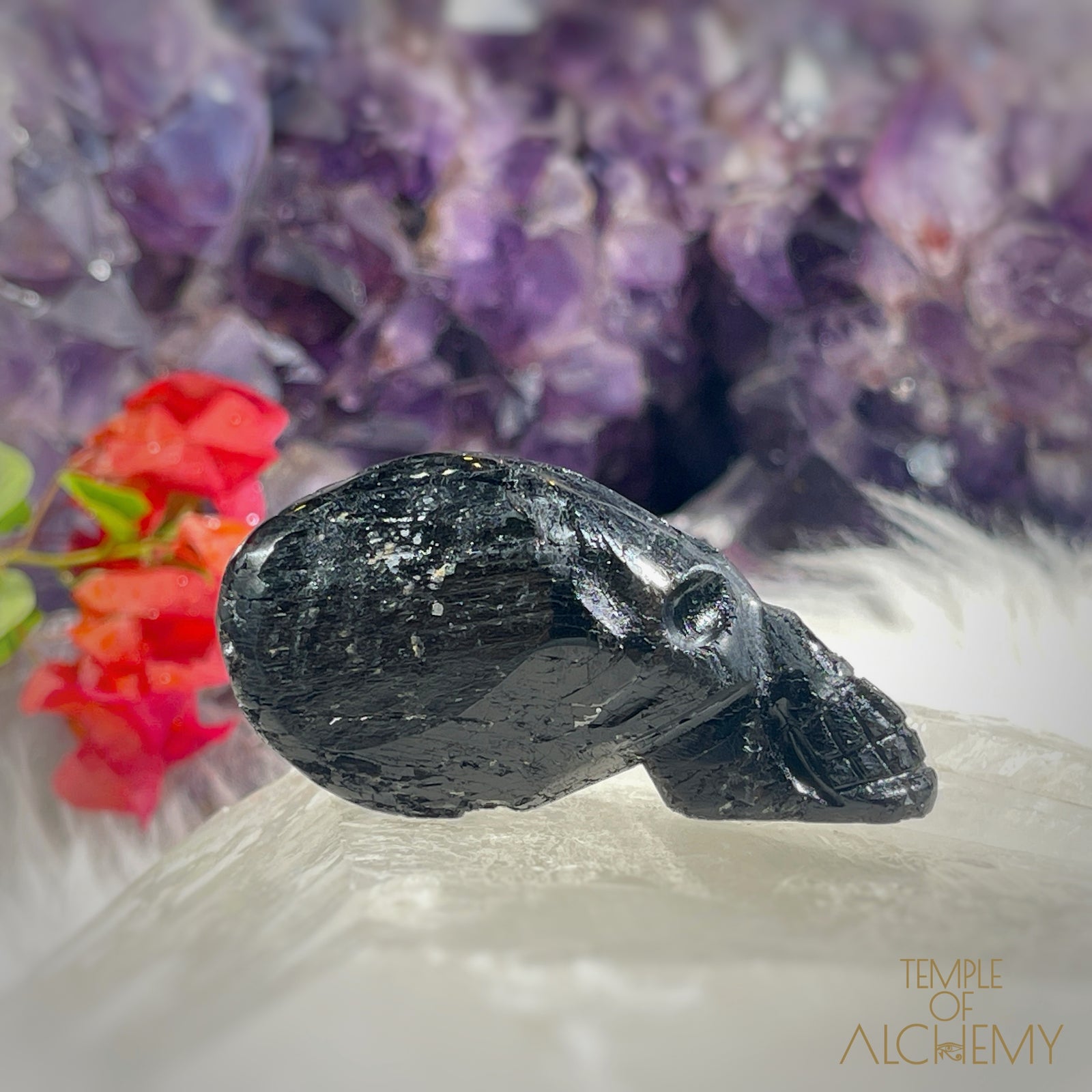 Etheric Vacuum Cleaner 𓆃 Black Tourmaline