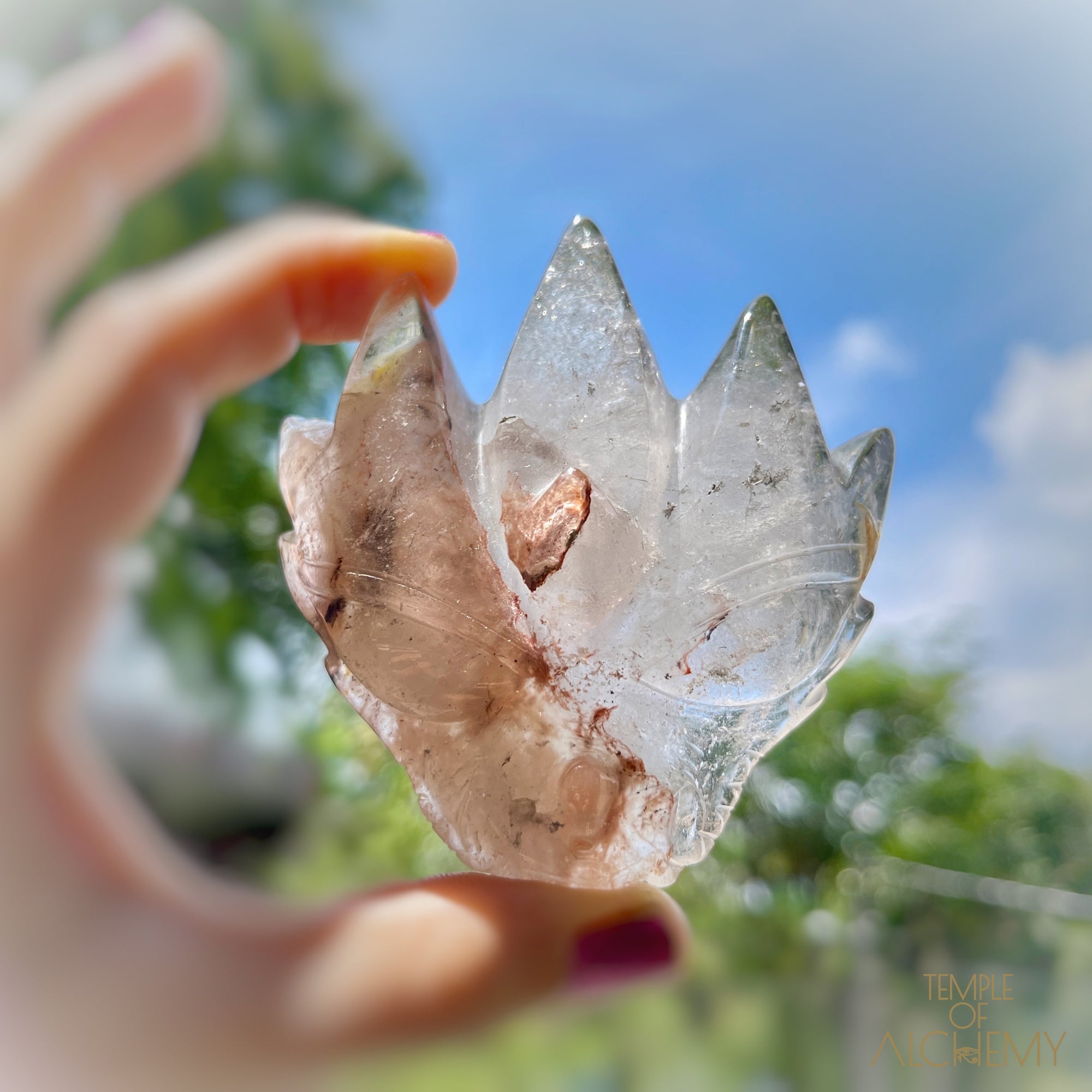 Opalised Chalcedony in Quartz