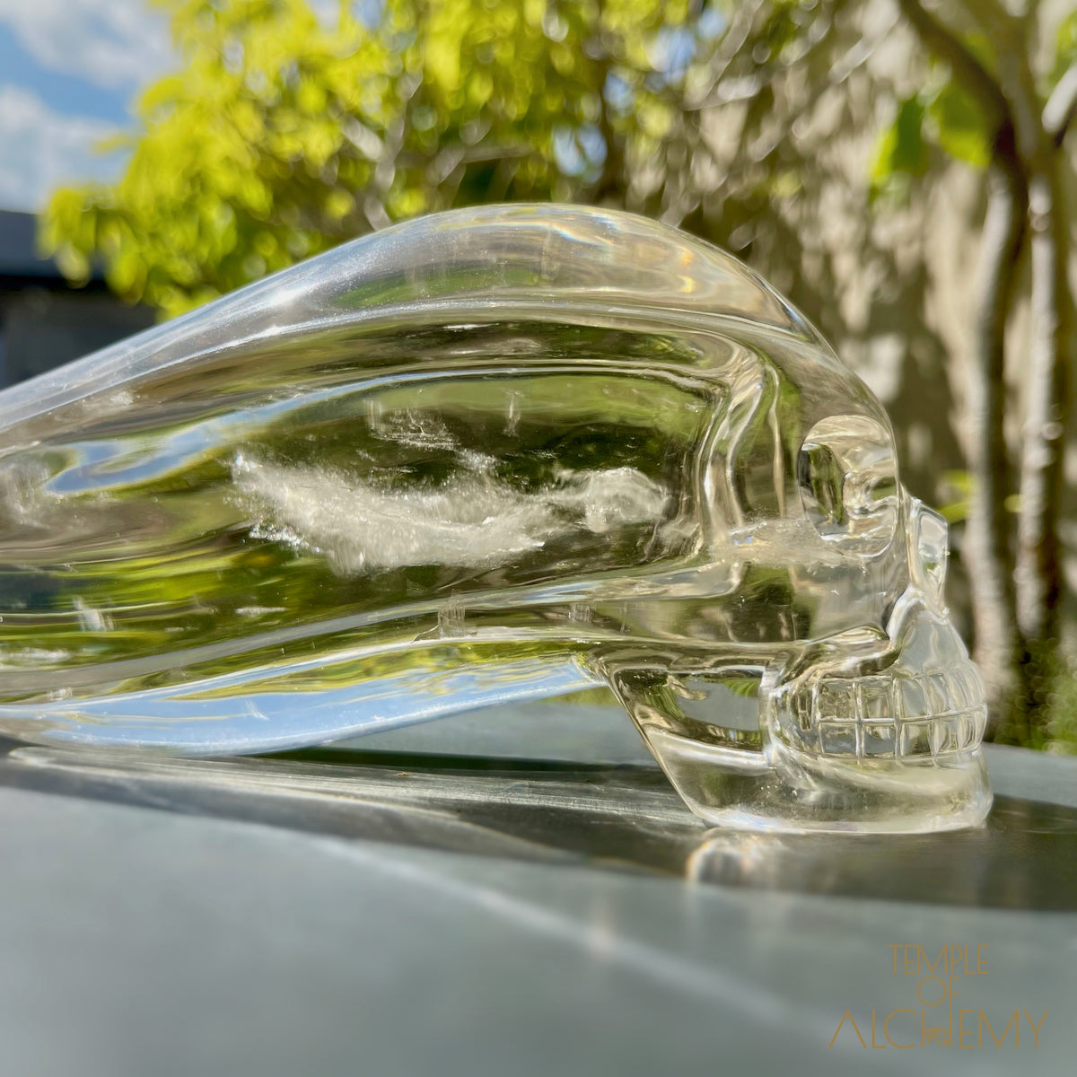 Ascension & Manifestation Quartz 𓄂♡𓆃 Citrine