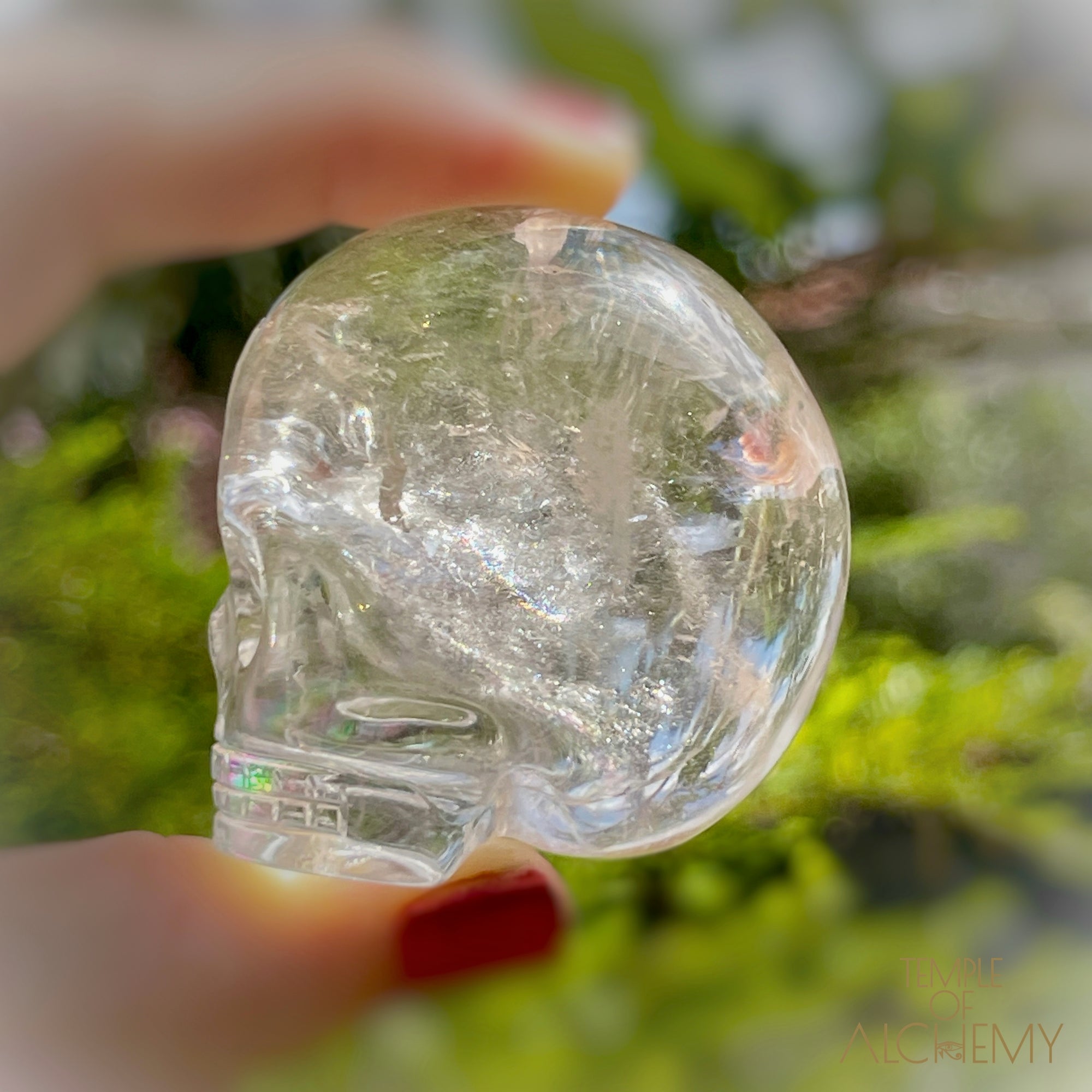🌈 Lemurian