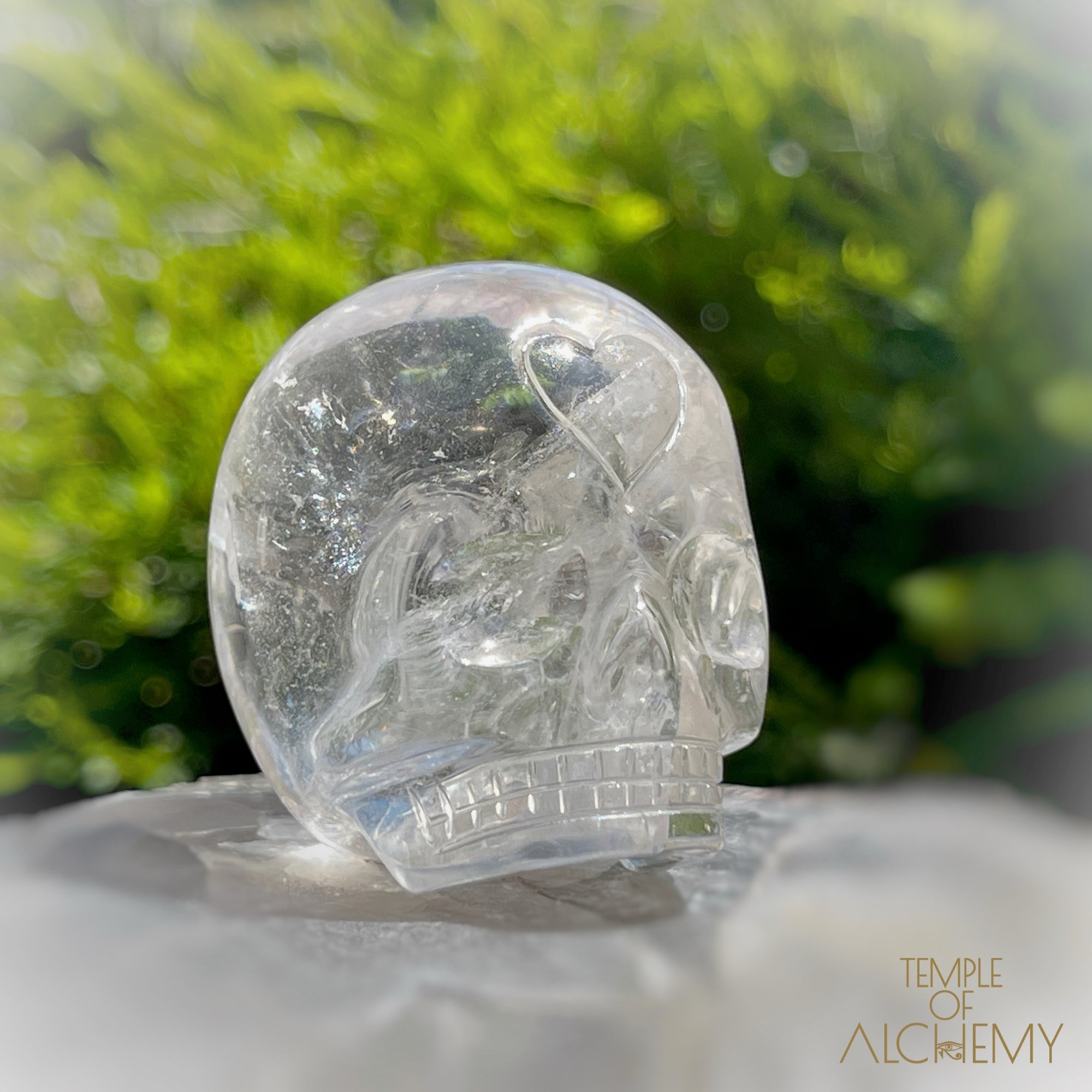 🌈 Lemurian