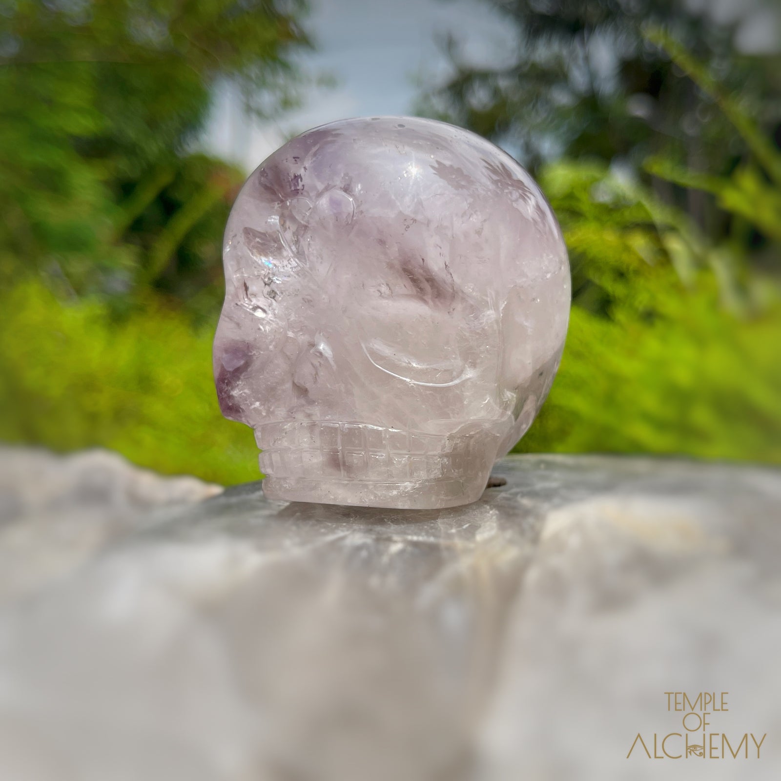 Trapiche Amethyst + Hollandite