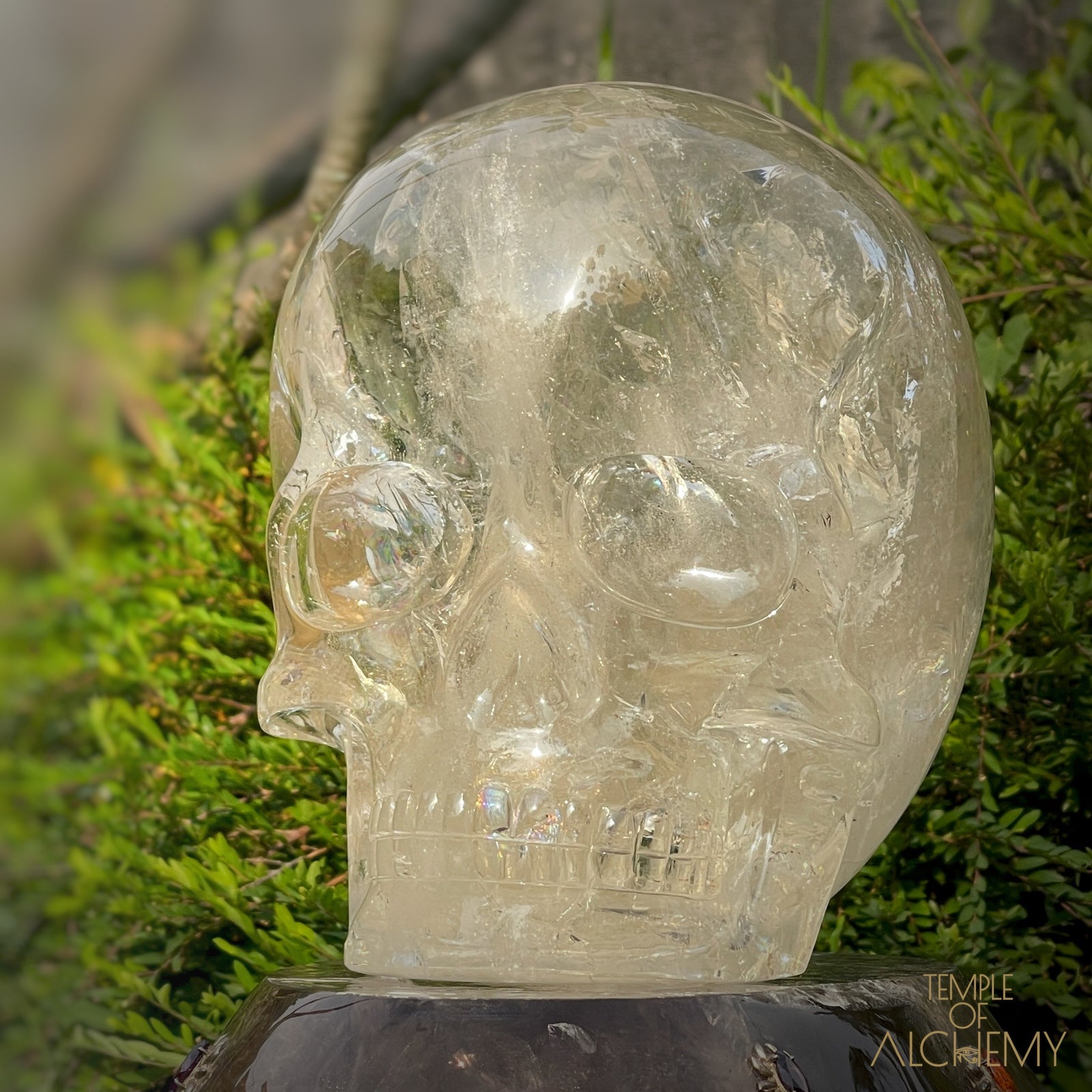 The Magic of Isis & The Resurrection of Osiris 𓆃 Warrior # 55