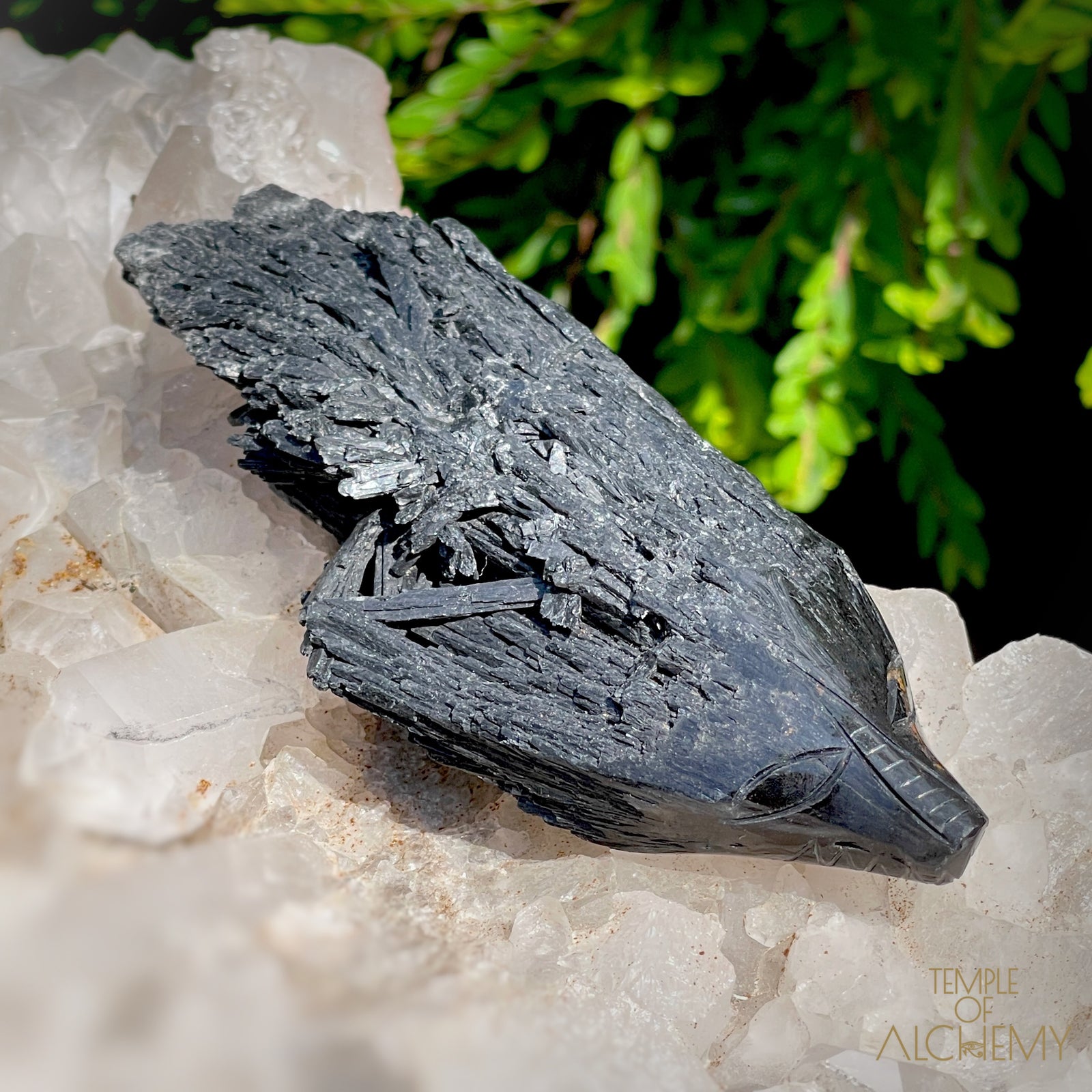 Black Kyanite