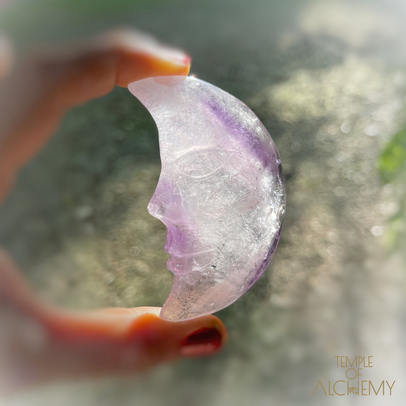 * RESERVED S.A * Phantom Amethyst