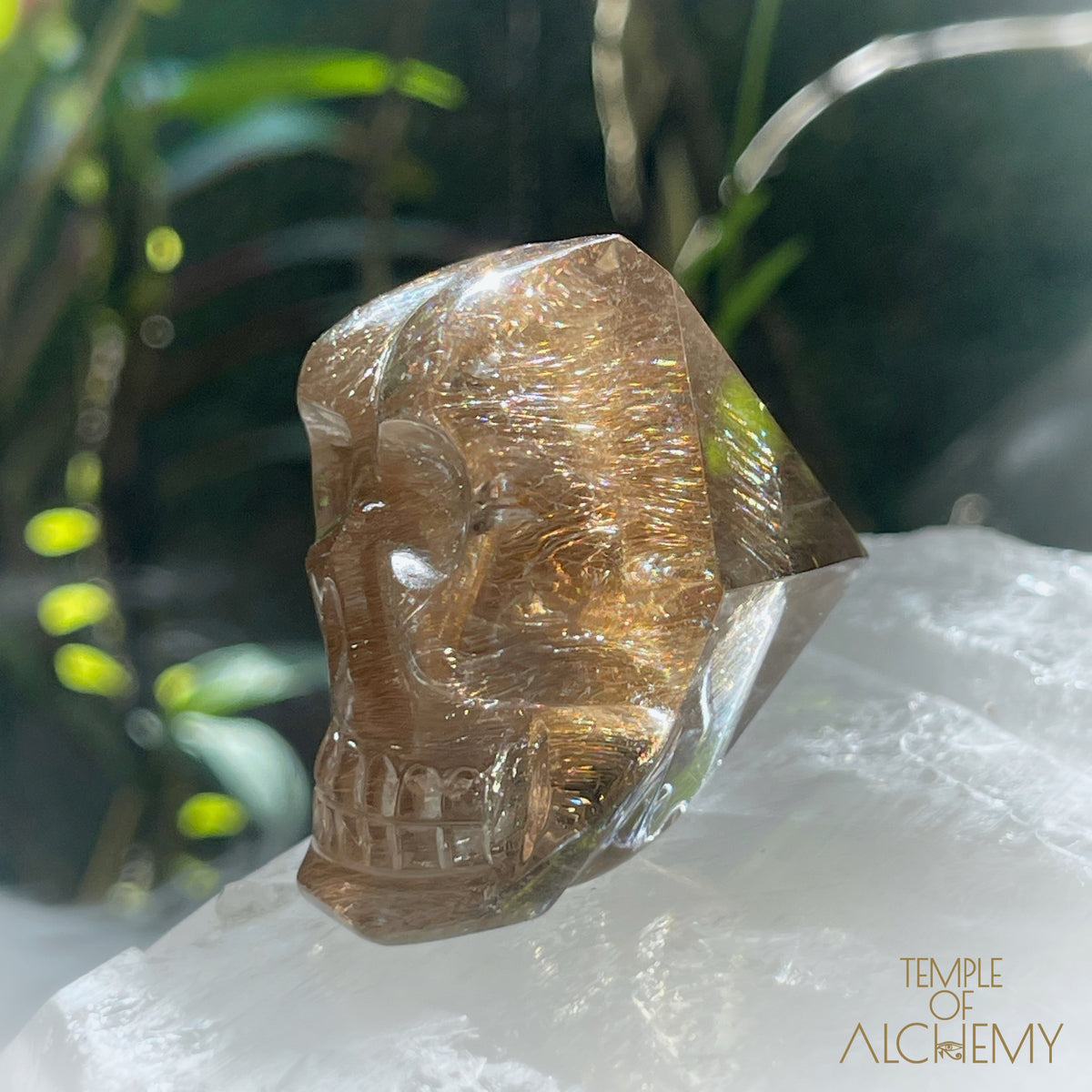 Smoky Citrine x Golden-Copper Rutiles