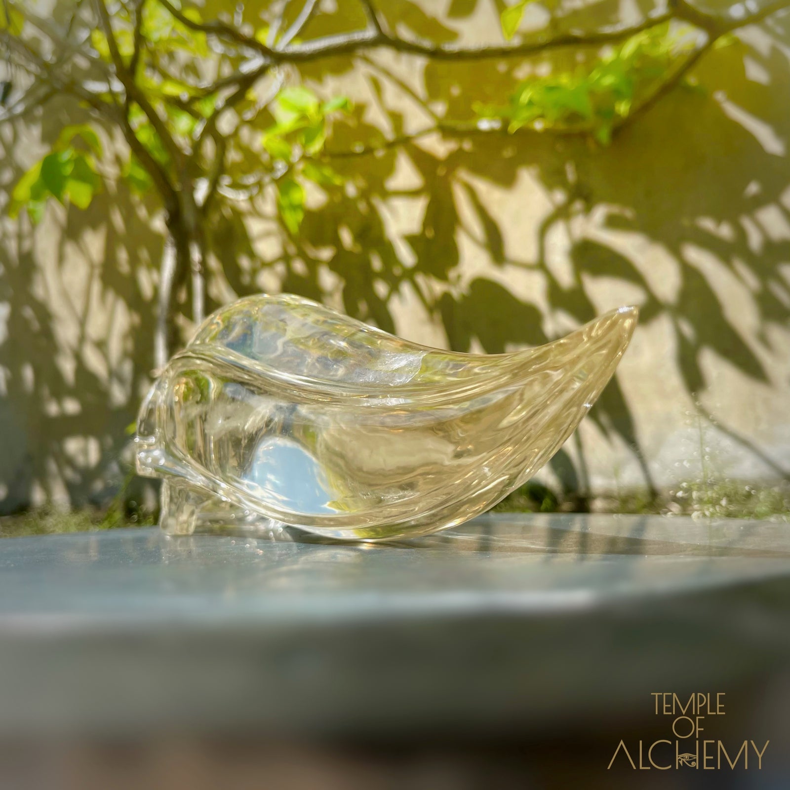 Ascension & Manifestation Quartz 𓄂♡𓆃 Citrine