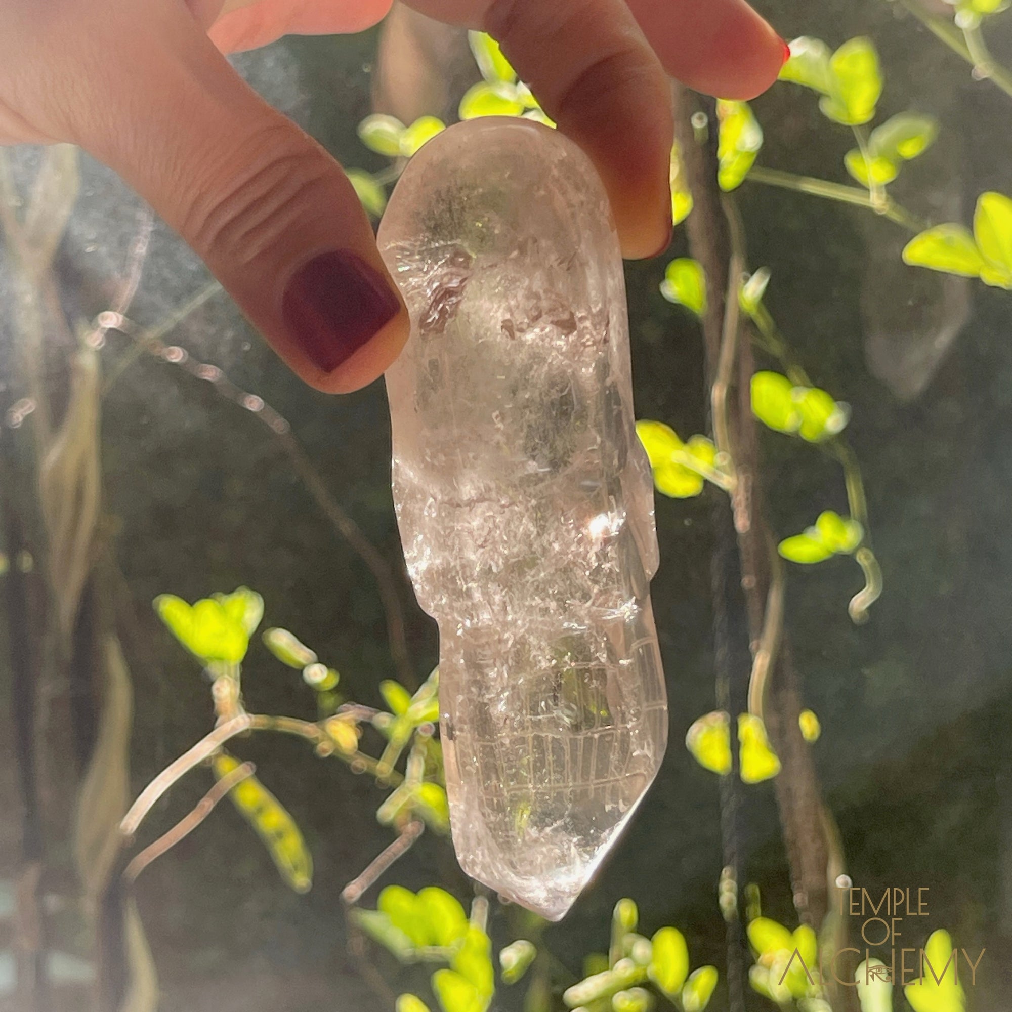 🌈  Citrine