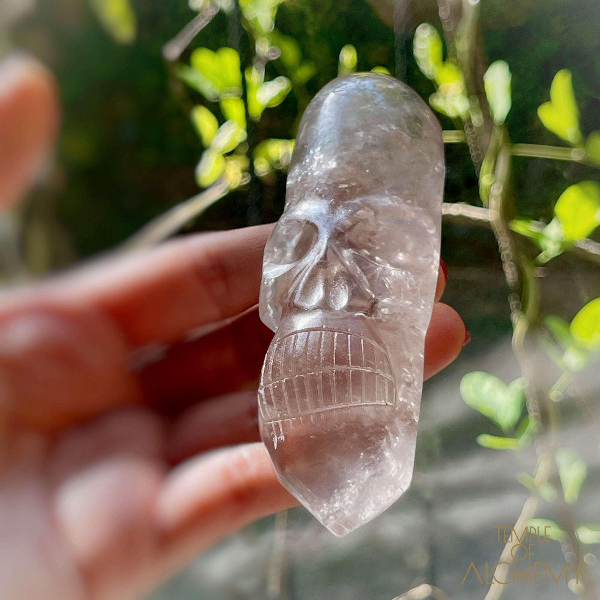 🌈  Citrine