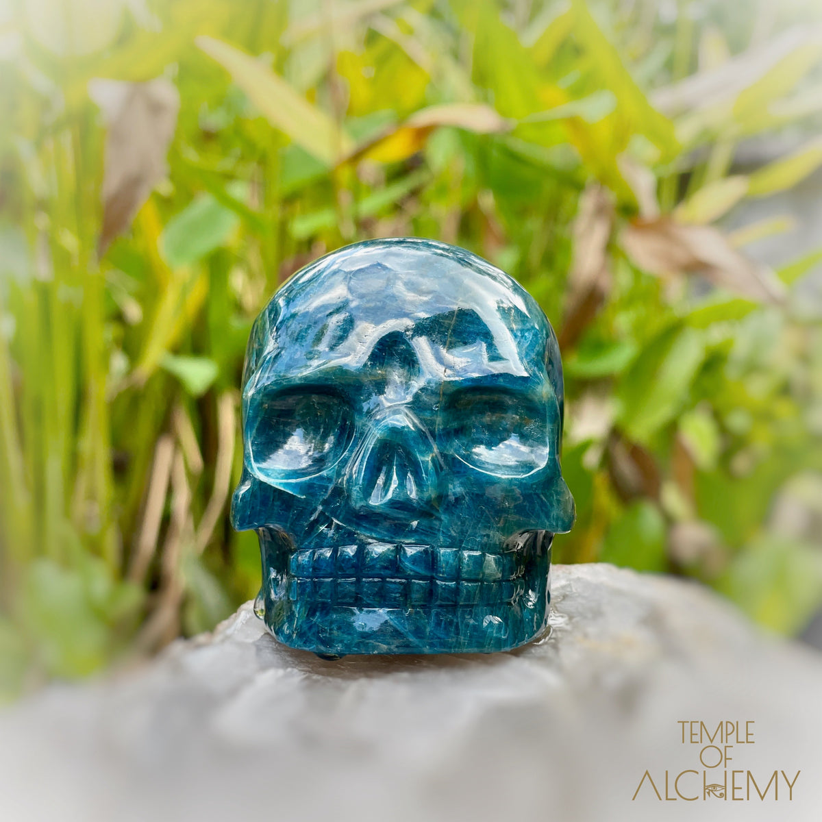 Cat's Eye Apatite Blue Apatite