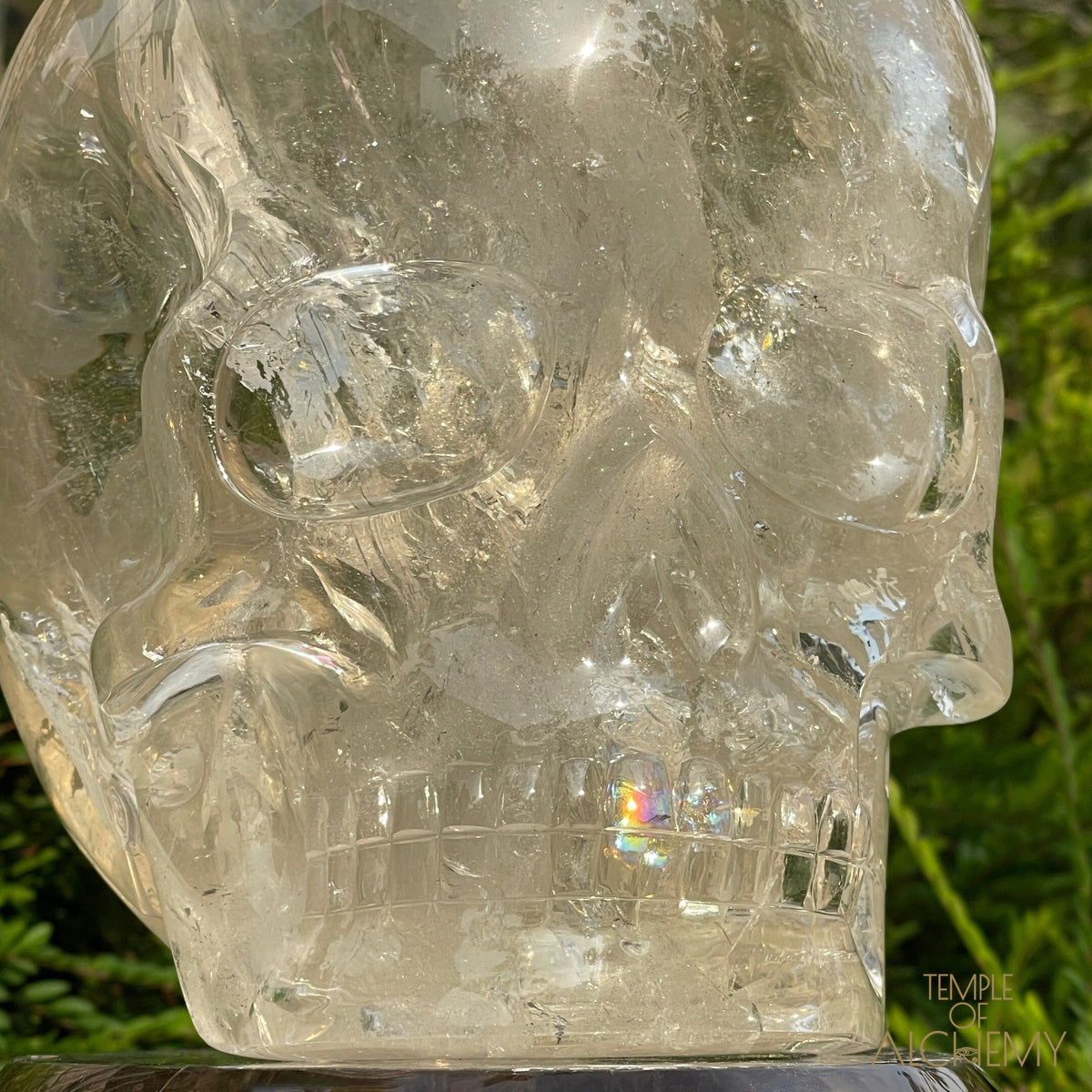 The Magic of Isis & The Resurrection of Osiris 𓆃 Warrior # 55