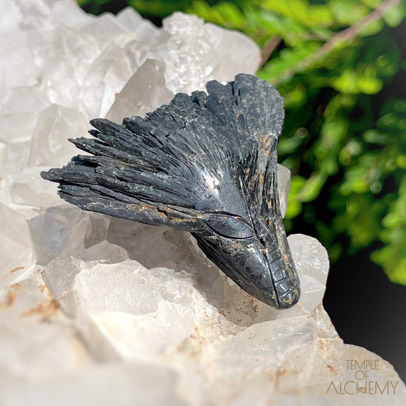 Black Kyanite