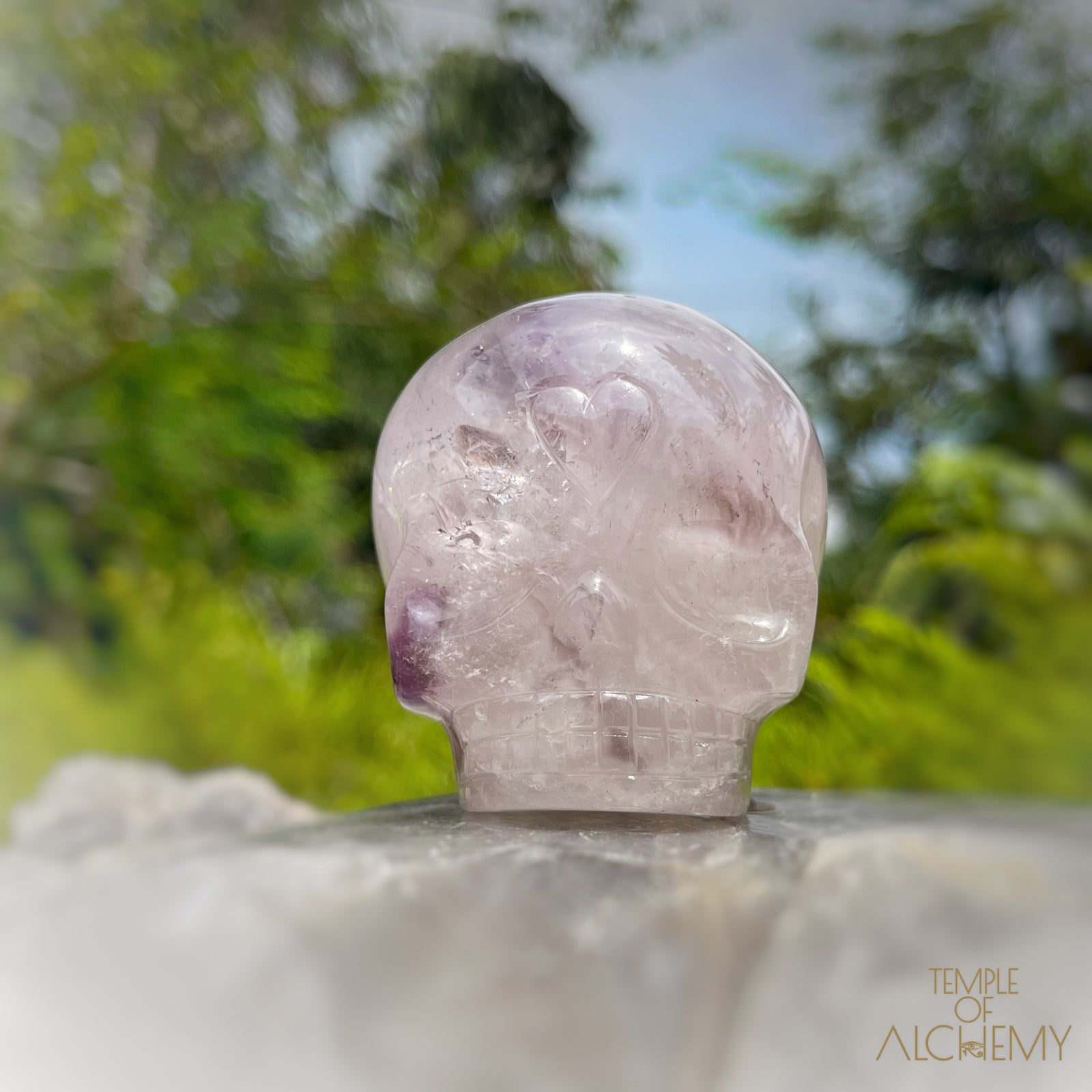 Trapiche Amethyst + Hollandite