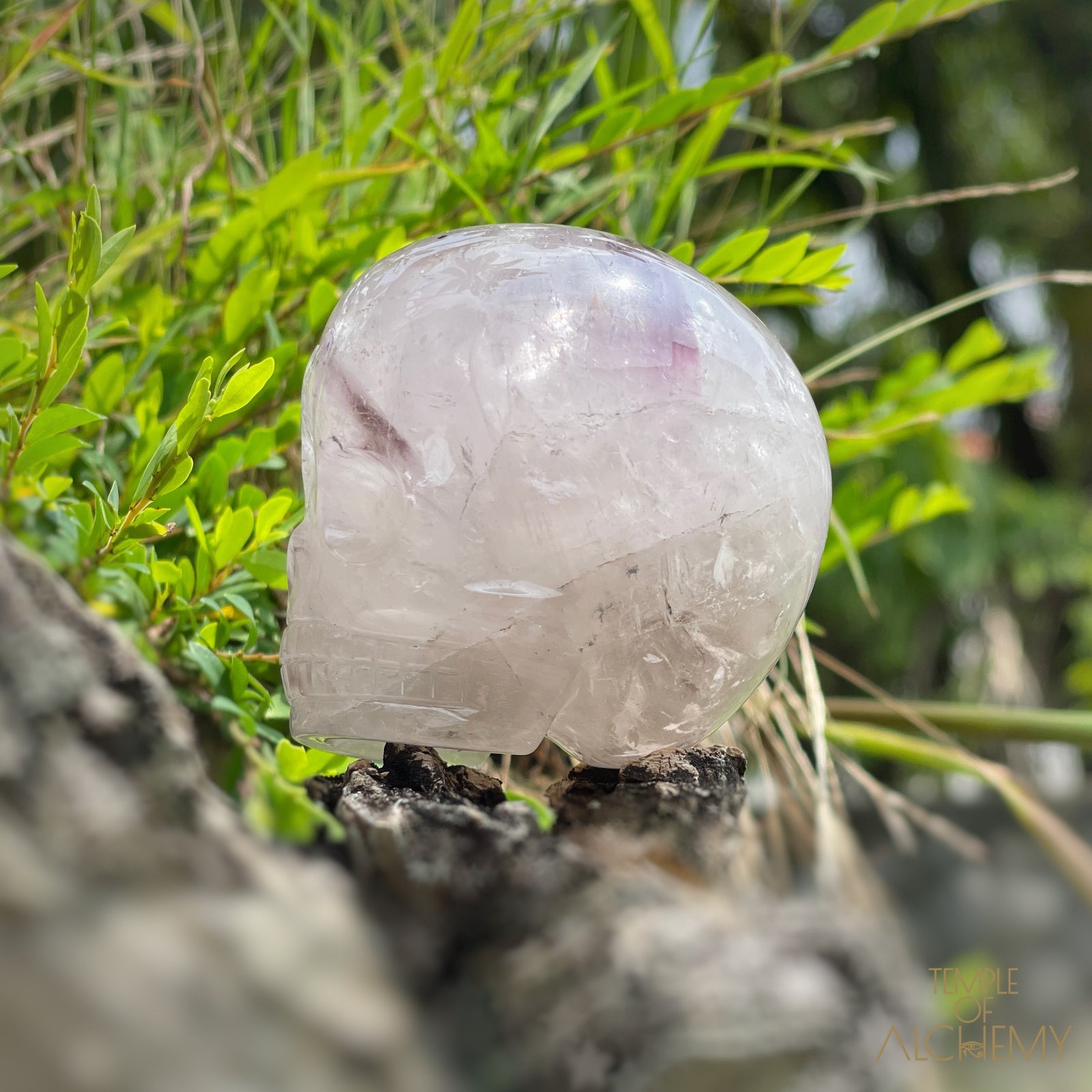 Trapiche Amethyst + Hollandite