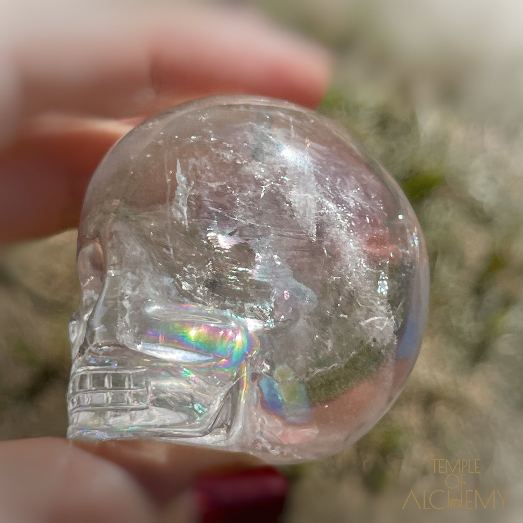 🌈 Lemurian