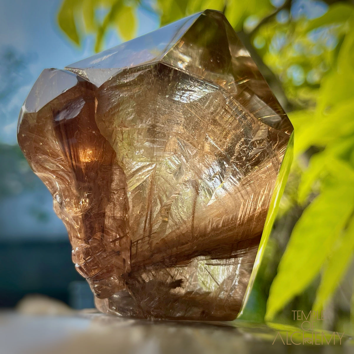 The Power of 2 Beings in 1 𓆃 Smoky Citrine x Golden-Copper Rutiles