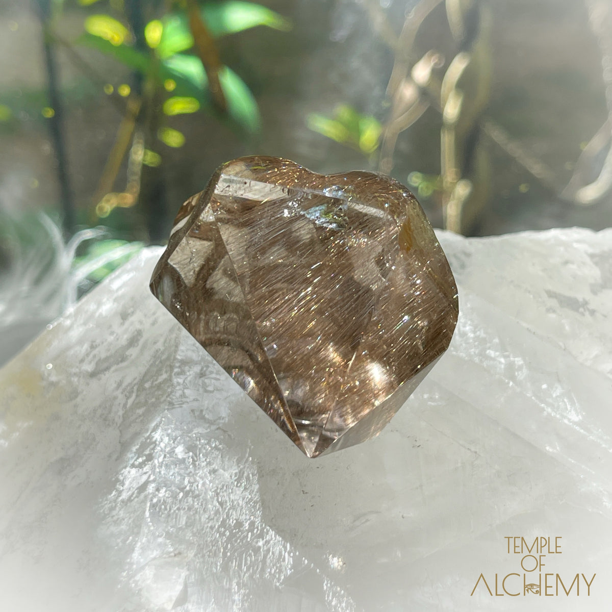 Smoky Citrine x Golden-Copper Rutiles