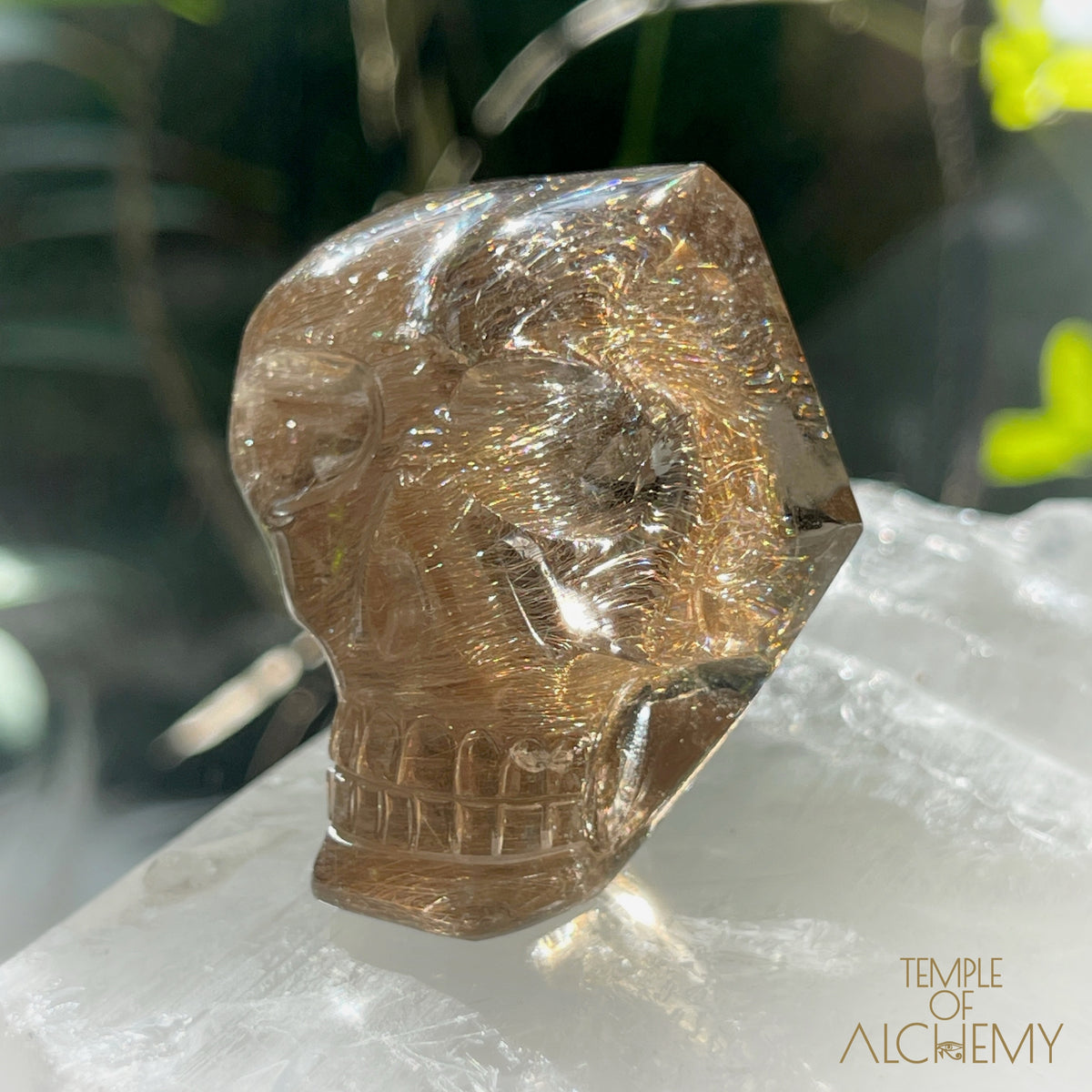 Smoky Citrine x Golden-Copper Rutiles