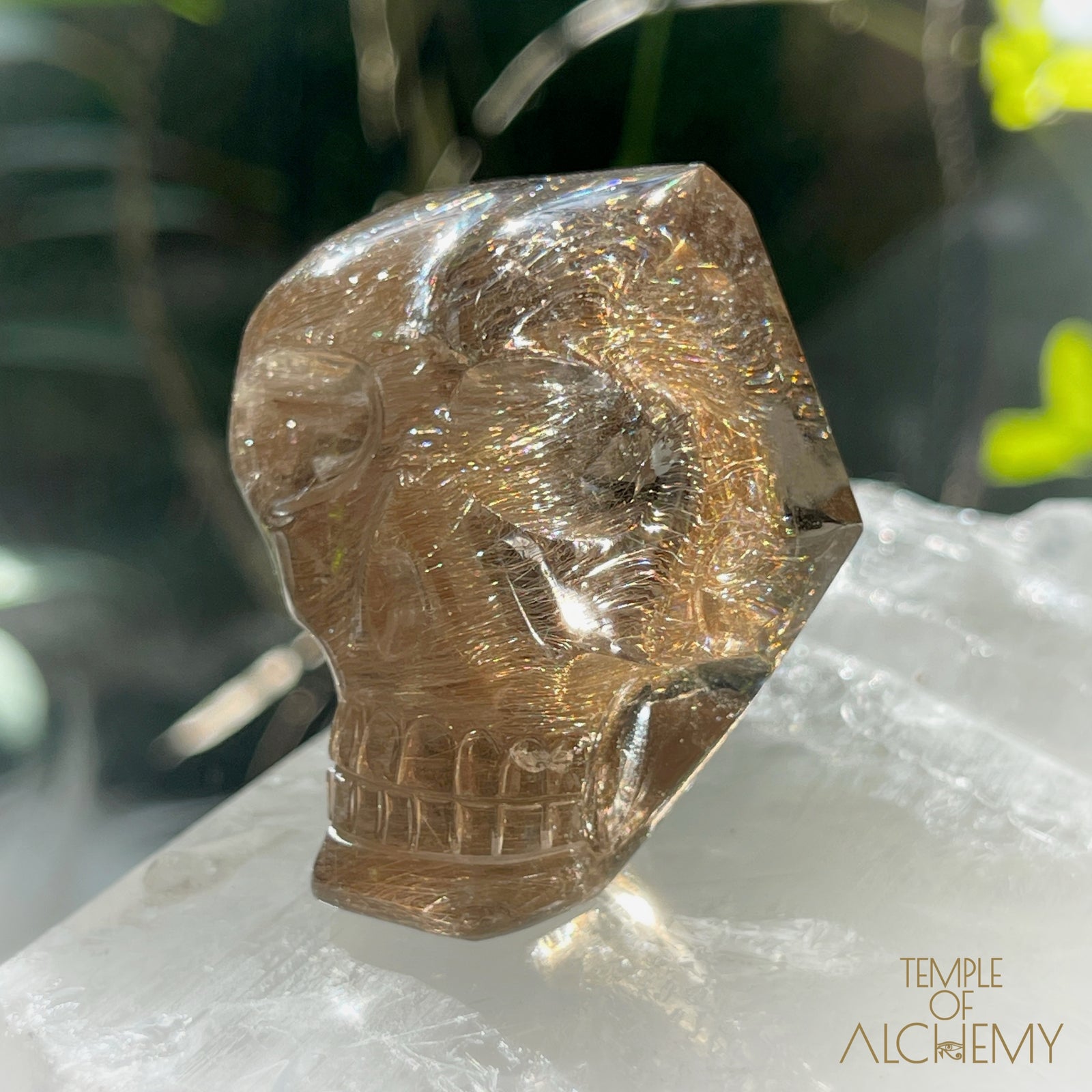 Smoky Citrine x Golden-Copper Rutiles