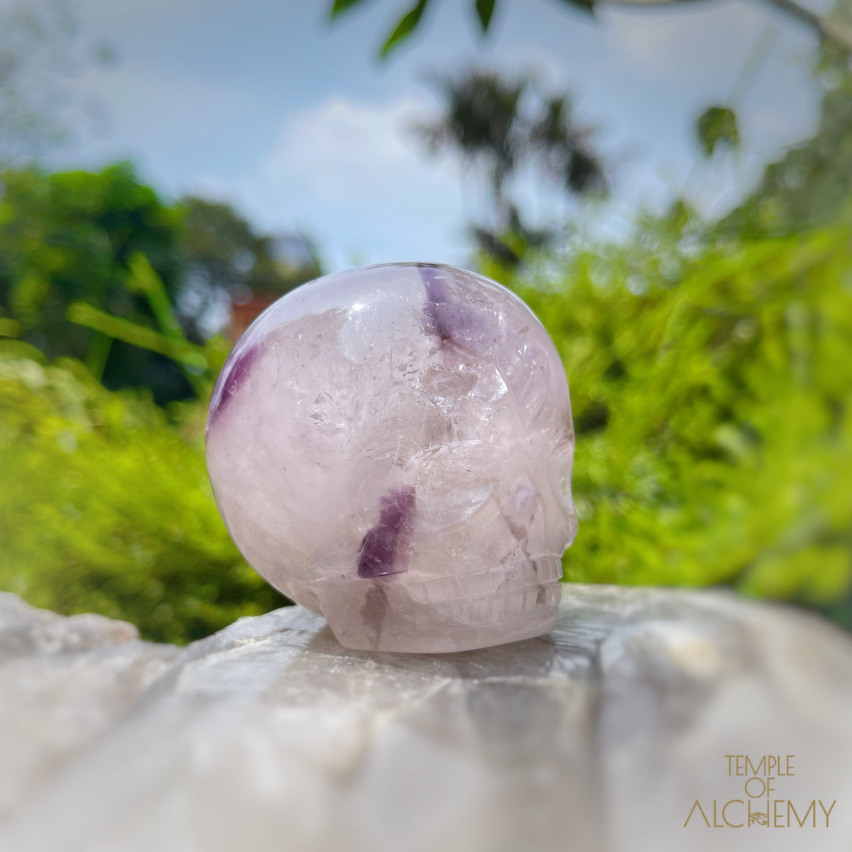 Trapiche Amethyst + Hollandite