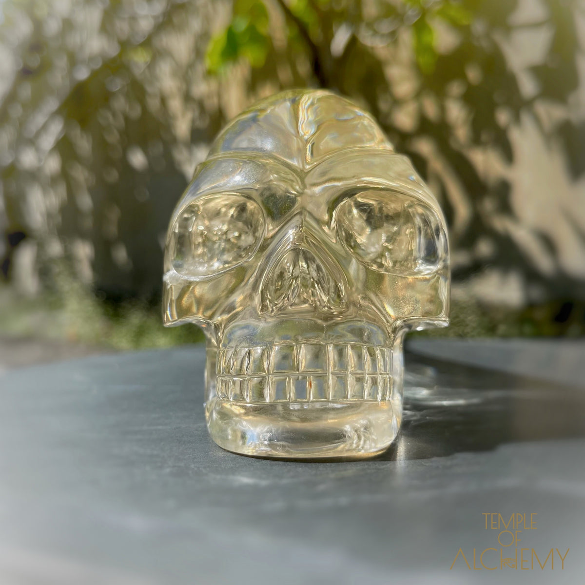 Ascension & Manifestation Quartz 𓄂♡𓆃 Citrine