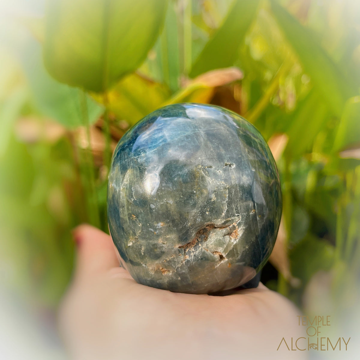 Cat's Eye Apatite Blue Apatite